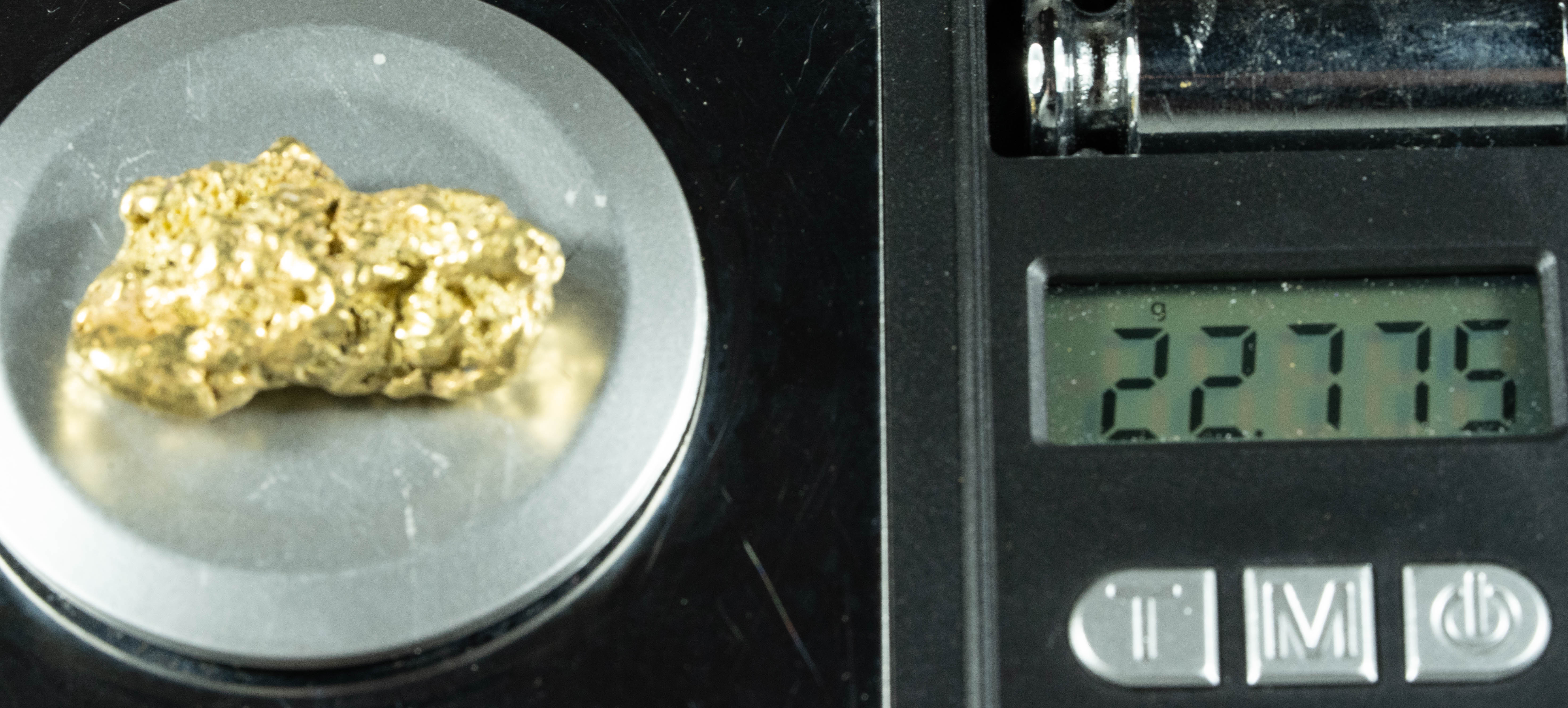 #555 Large Alaskan BC Gold Nugget 22.77 Grams Genuine
