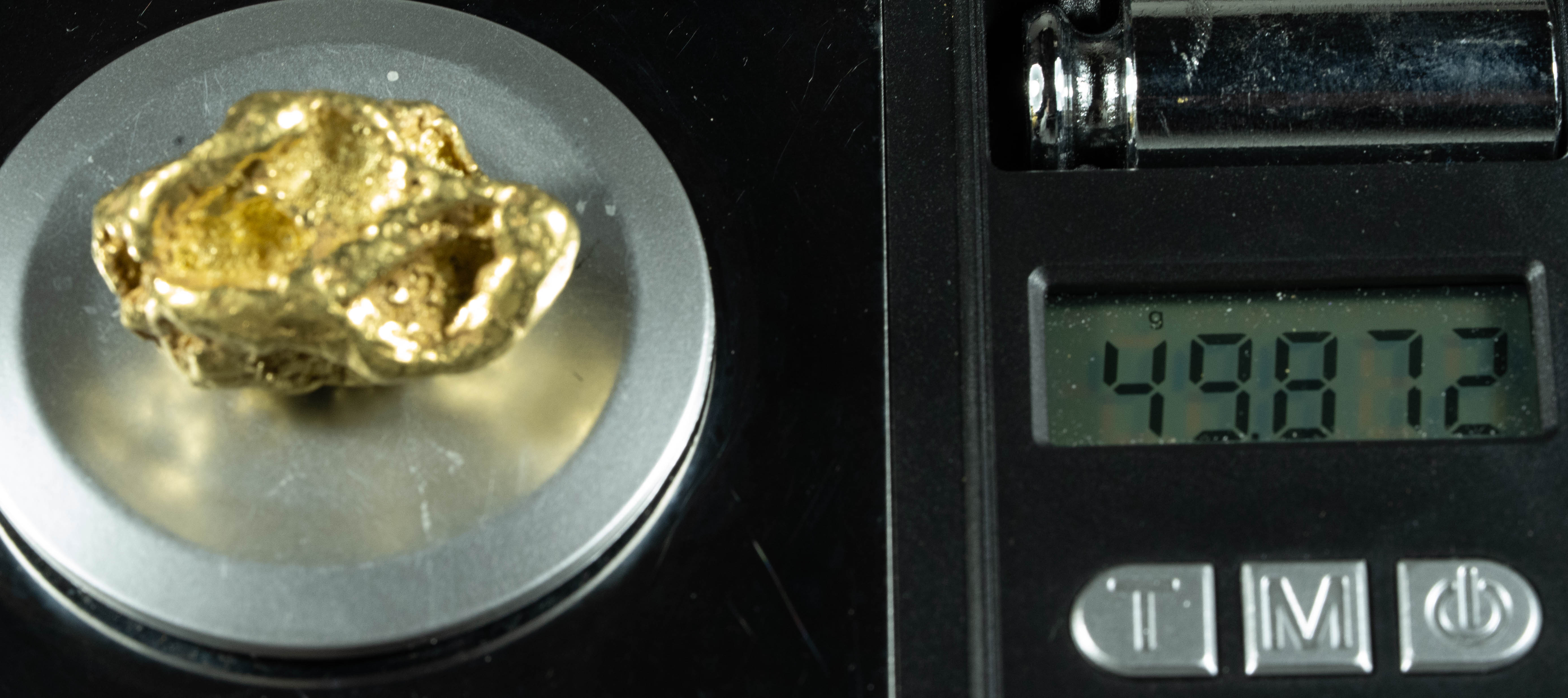 #547 Large Alaskan BC Gold Nugget 49.87 Grams Genuine