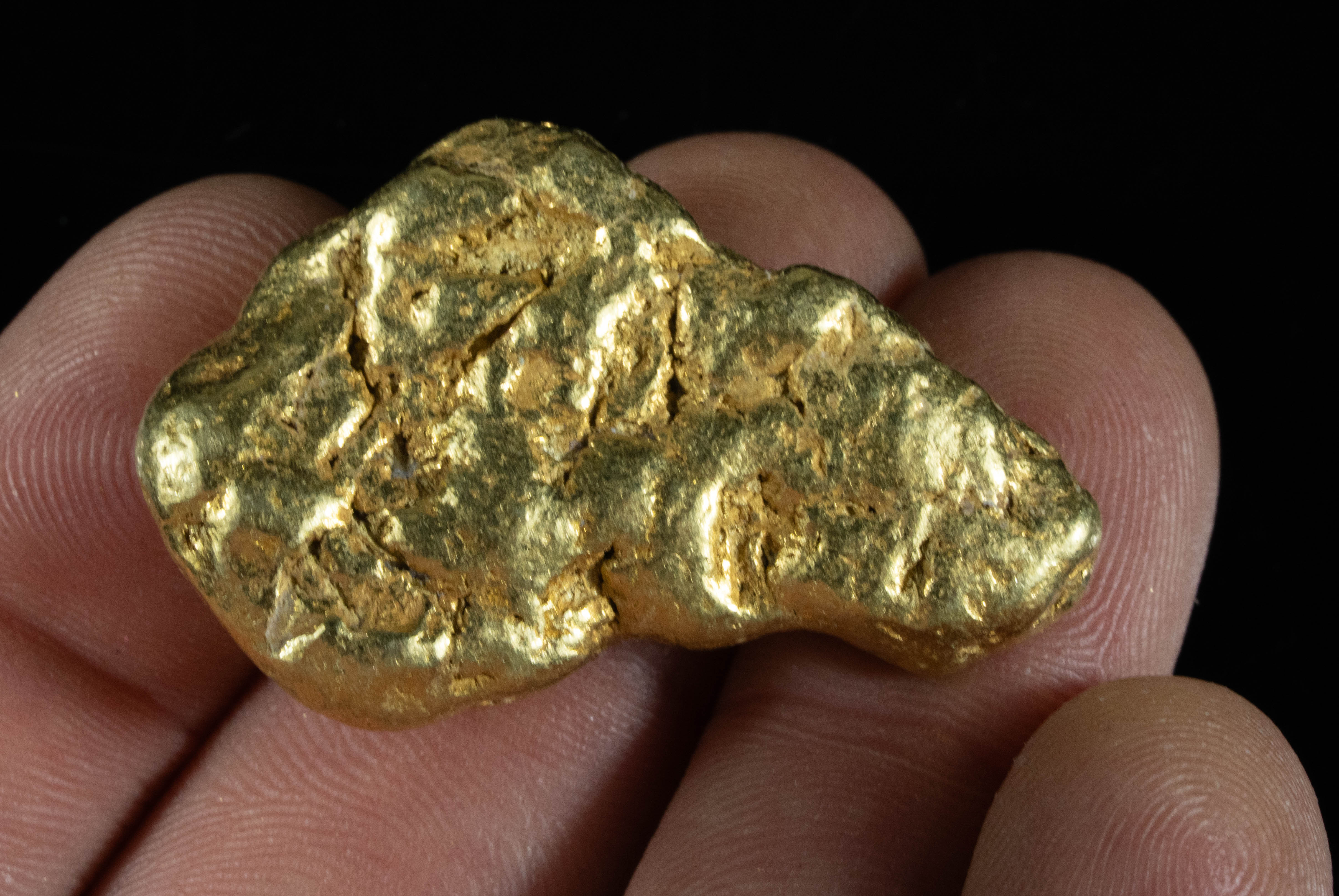 Large Alaskan BC Gold Nugget Genuine 51.70 Grams 1.66 Troy Ounces