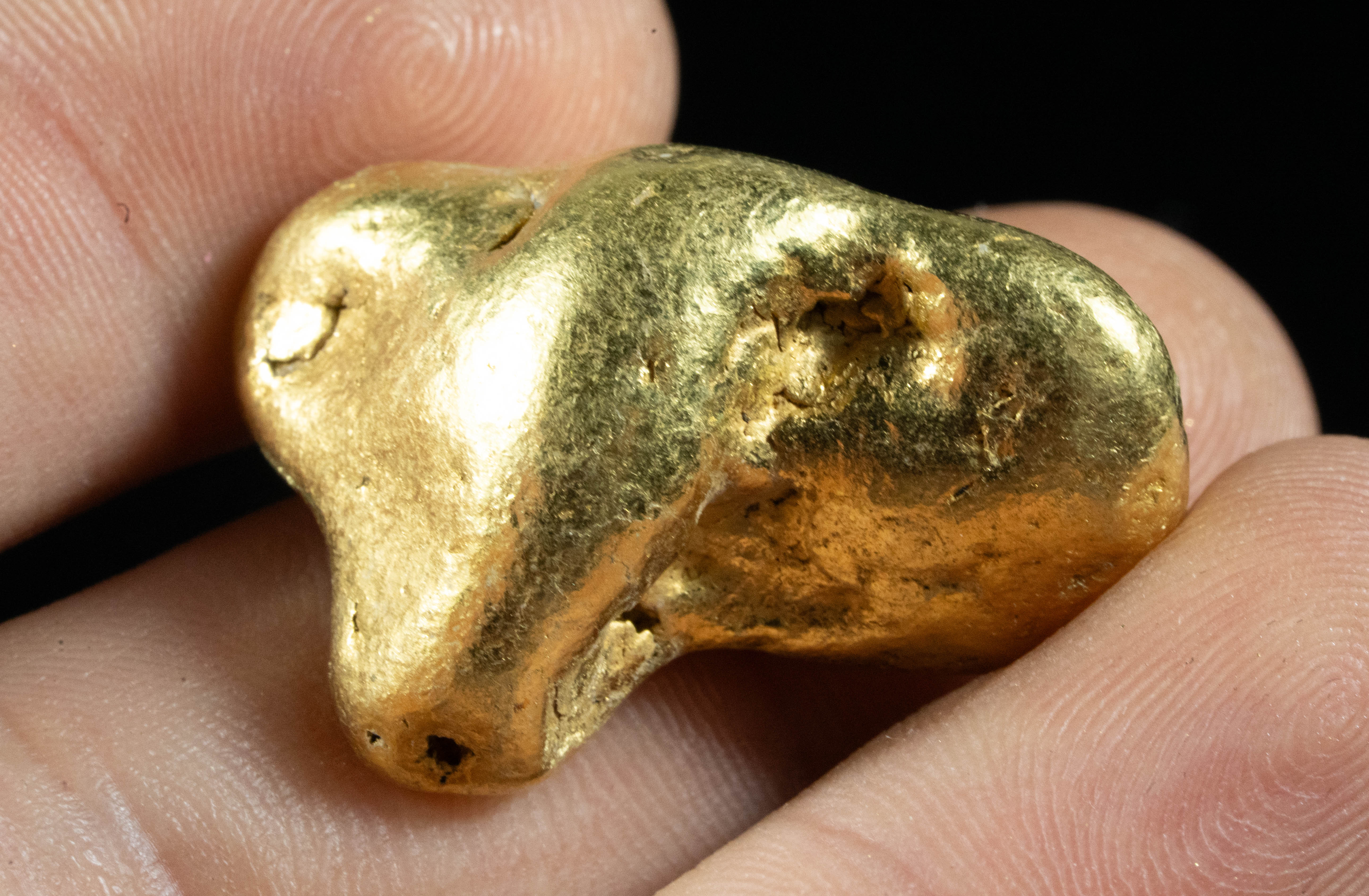 Large Alaskan BC Gold Nugget Genuine 50.83 Grams 1.63 Troy Ounces