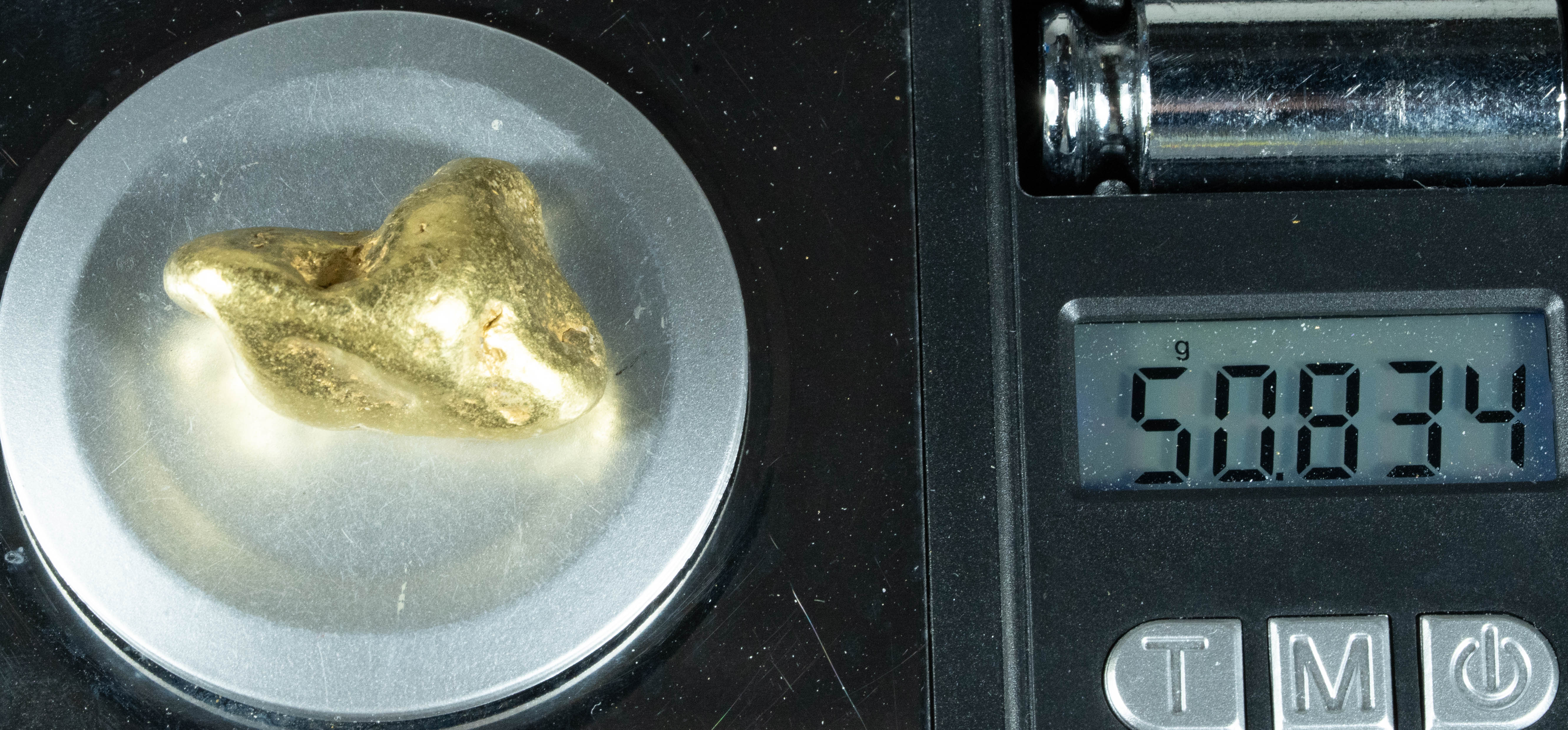 Large Alaskan BC Gold Nugget Genuine 50.83 Grams 1.63 Troy Ounces