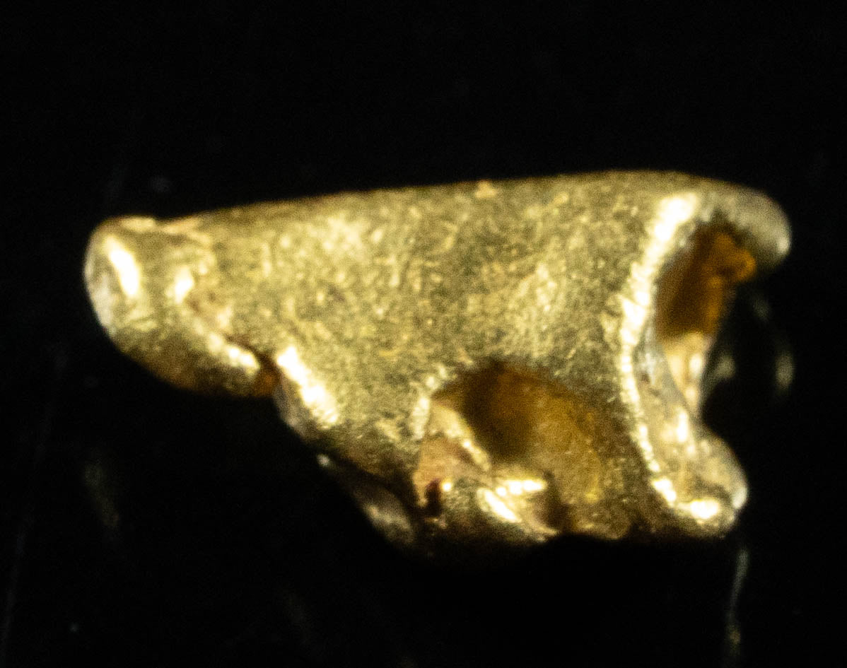 #861 Natural Gold Nugget Australian .55 Grams Genuine