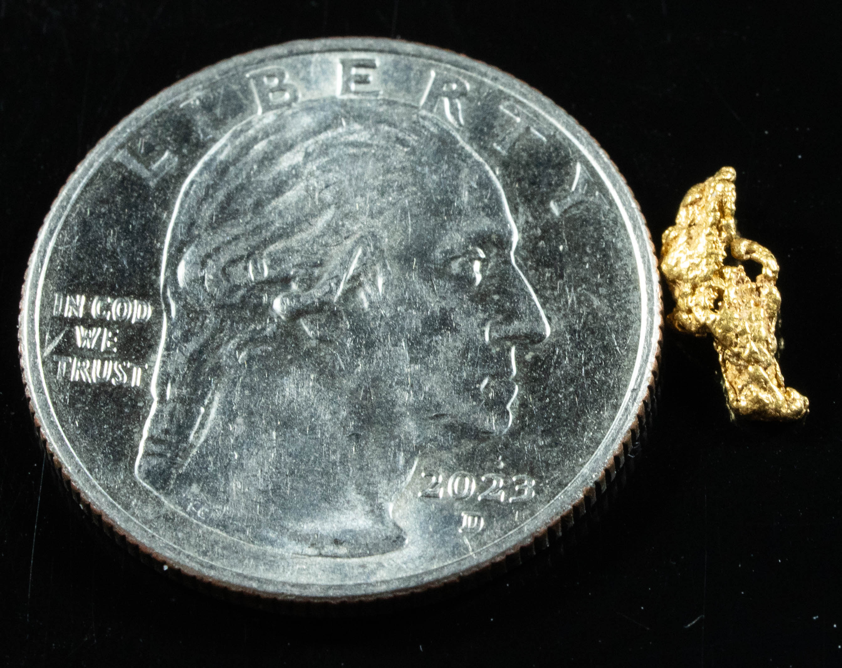 #863 Natural Gold Nugget Australian .36 Grams Genuine