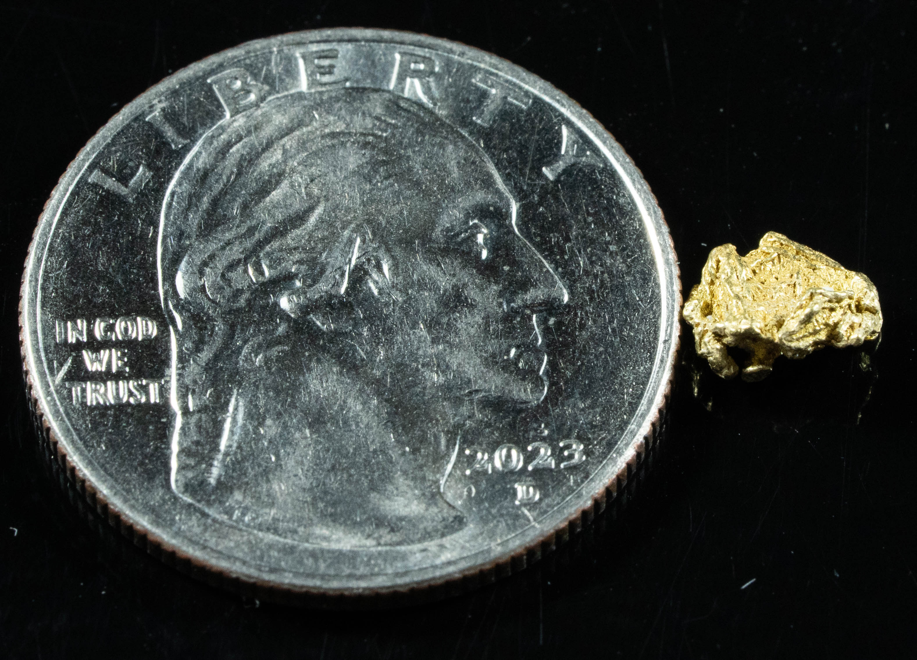 QN-24 "Alaskan BC Gold Nuggets with Quartz" Genuine .41 Grams