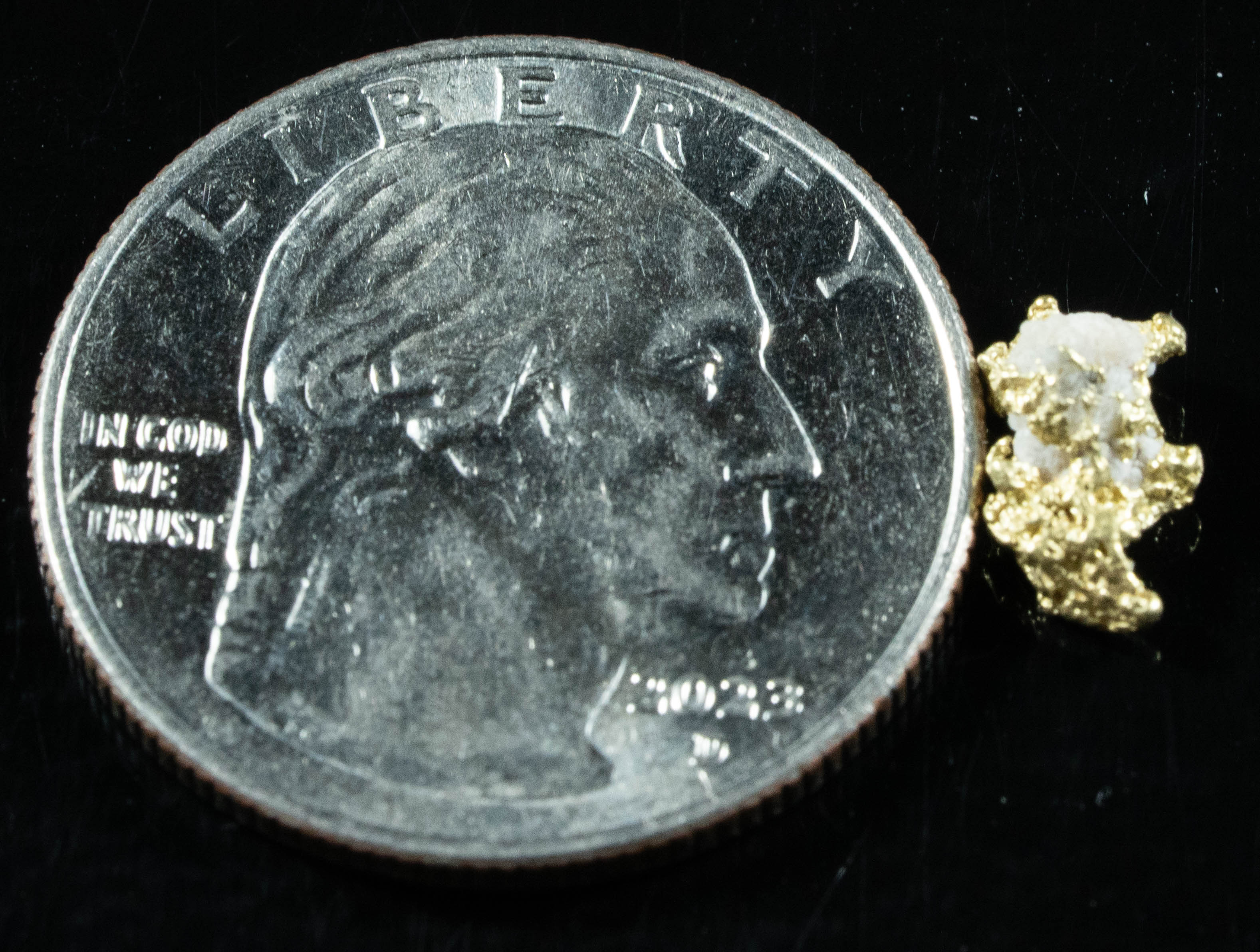 QN-25 "Alaskan BC Gold Nuggets with Quartz" Genuine .49 Grams
