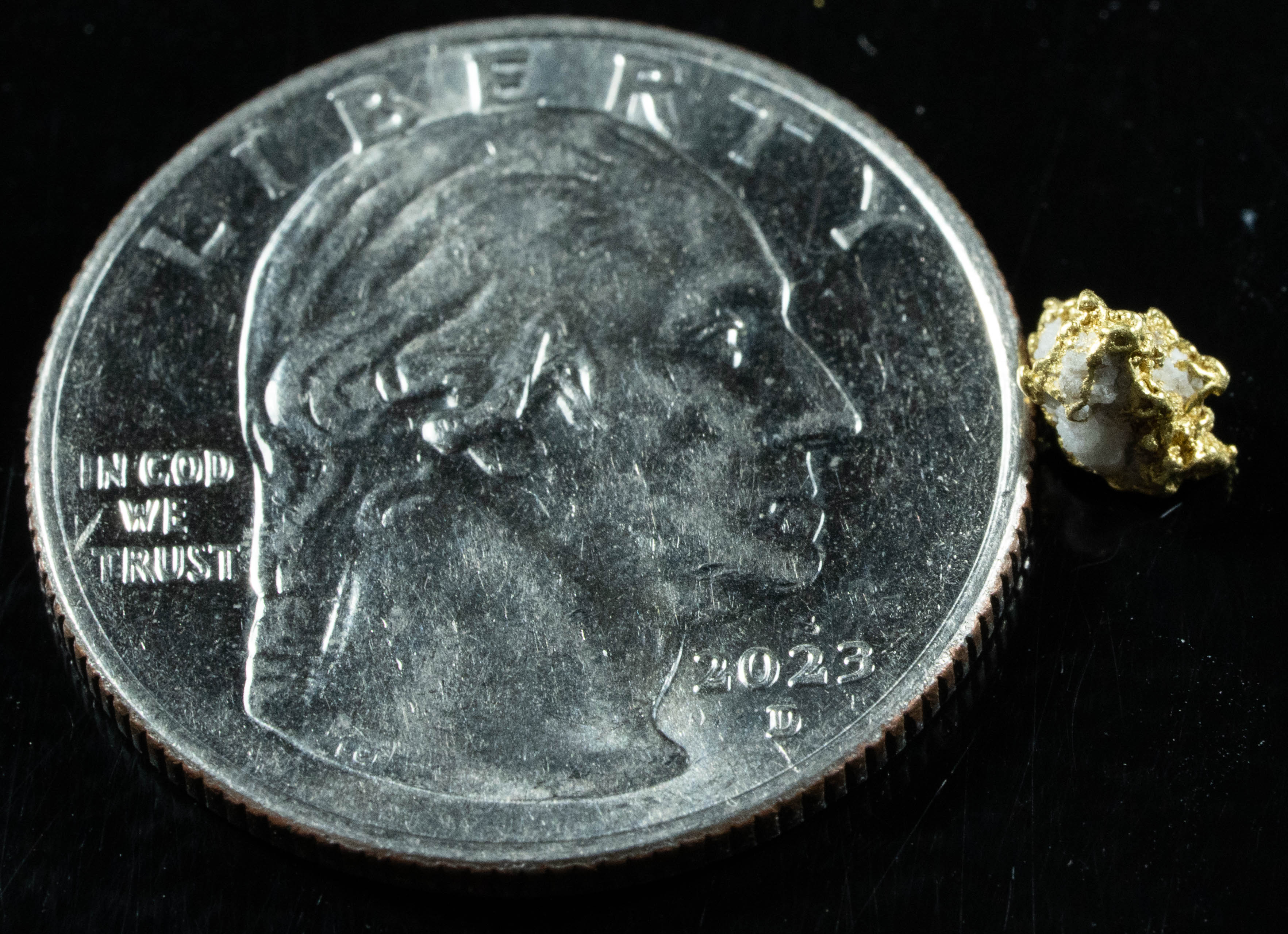 QN-30 "Alaskan BC Gold Nuggets with Quartz" Genuine .34 Grams