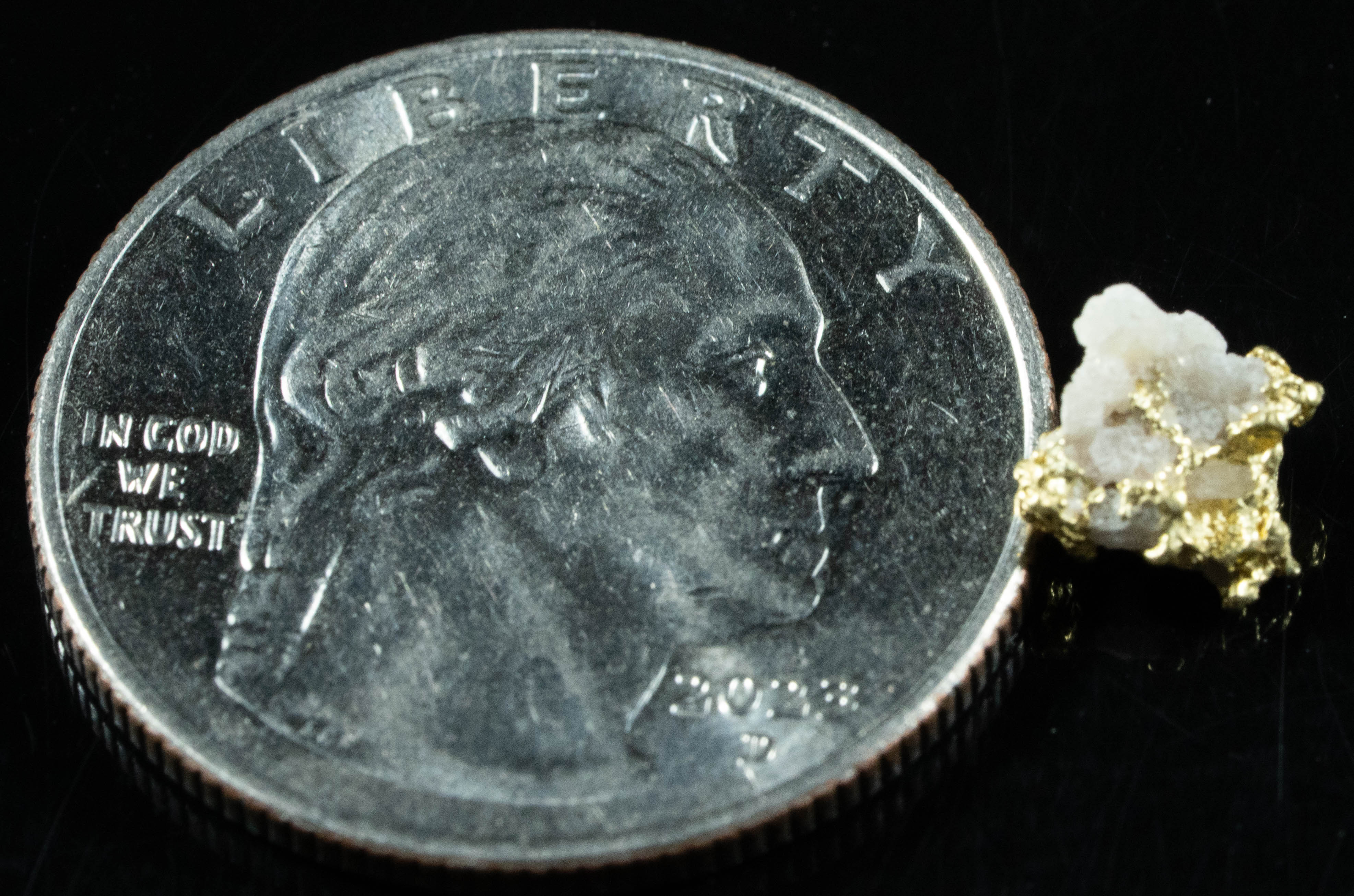 QN-35 "Alaskan BC Gold Nuggets with Quartz" Genuine .52 Grams