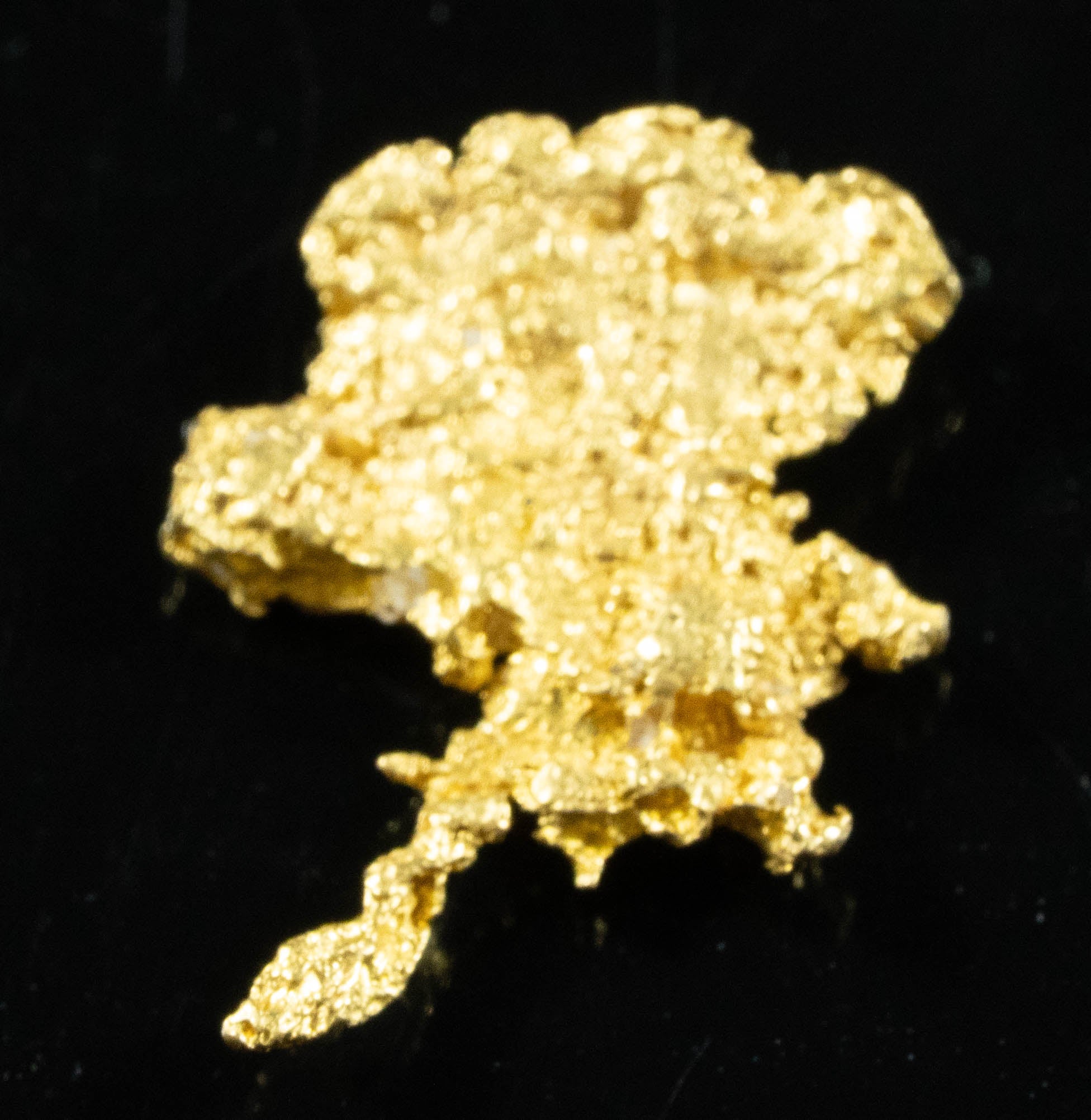 #874 Natural Gold " Shape State Of Alaska"  Nugget Australian 1.36 Grams Genuine