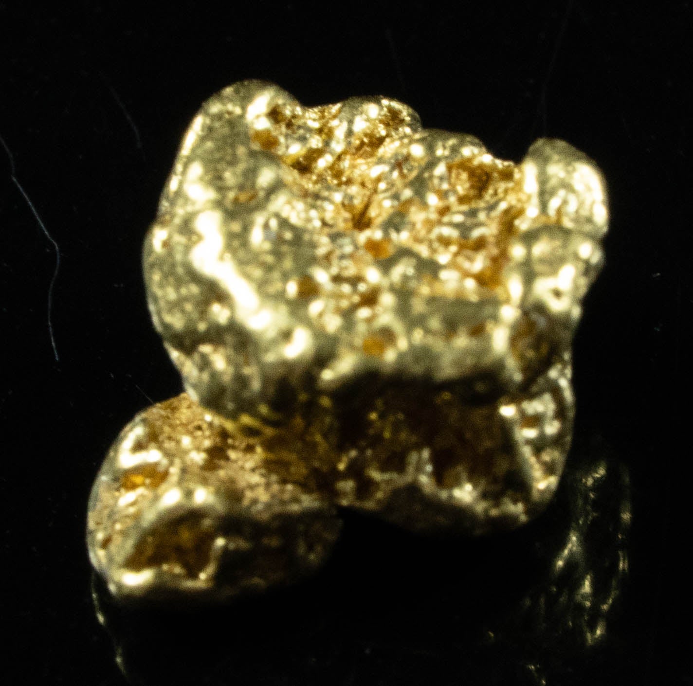 #89 Alaskan BC Natural Gold Nugget 1.56 Grams Genuine