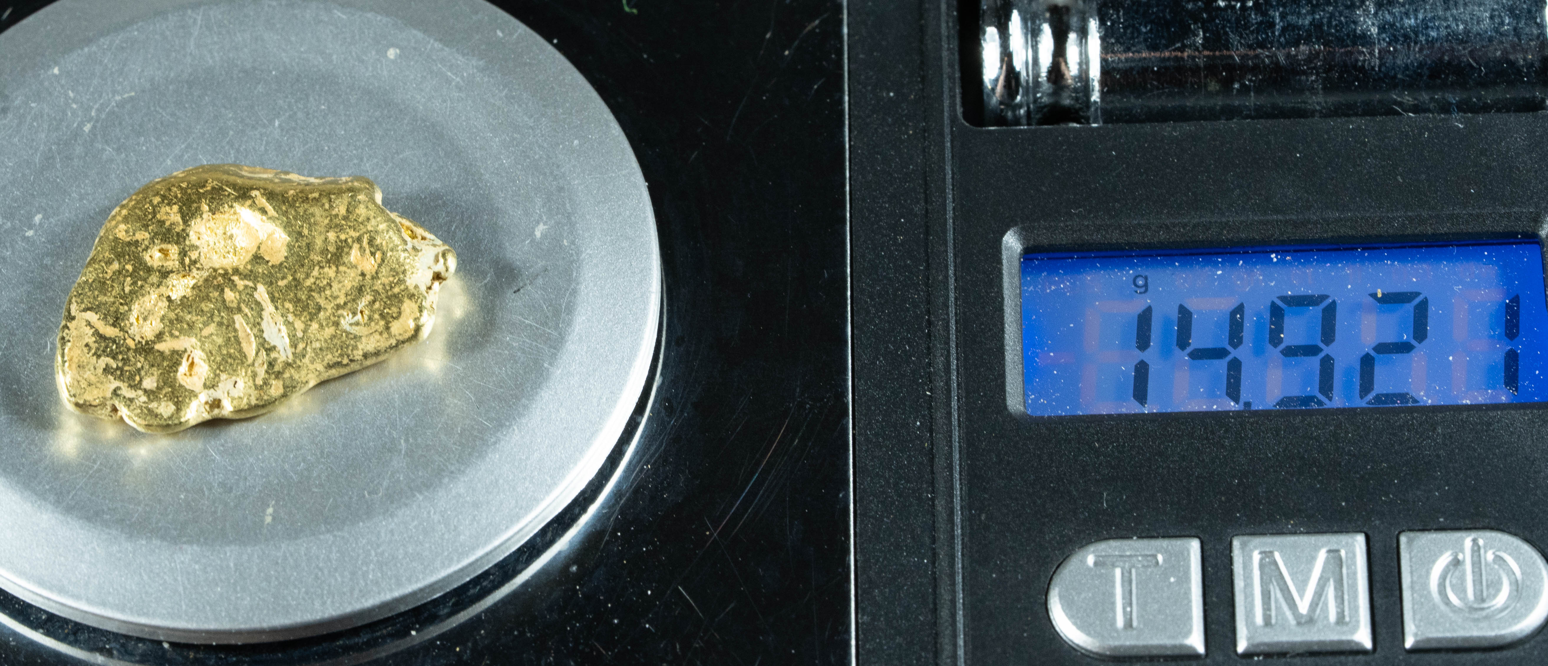 #475 Alaskan BC Natural Gold Nugget 14.92 Grams Genuine