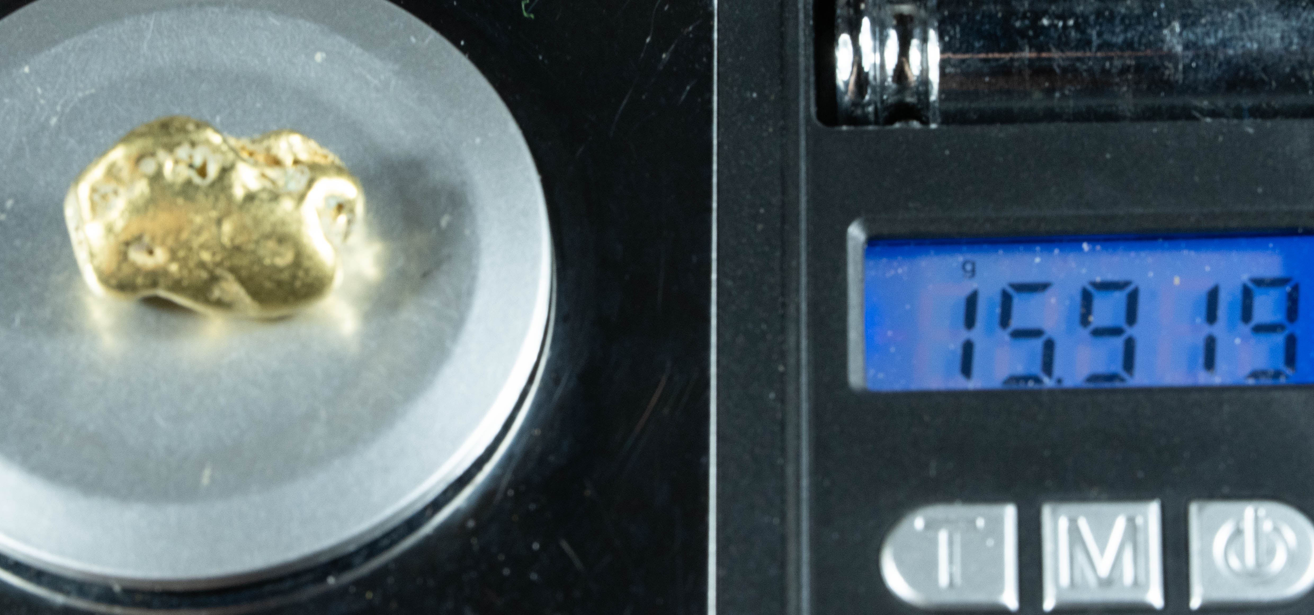 #482 Alaskan BC Natural Gold Nugget 15.91 Grams Genuine