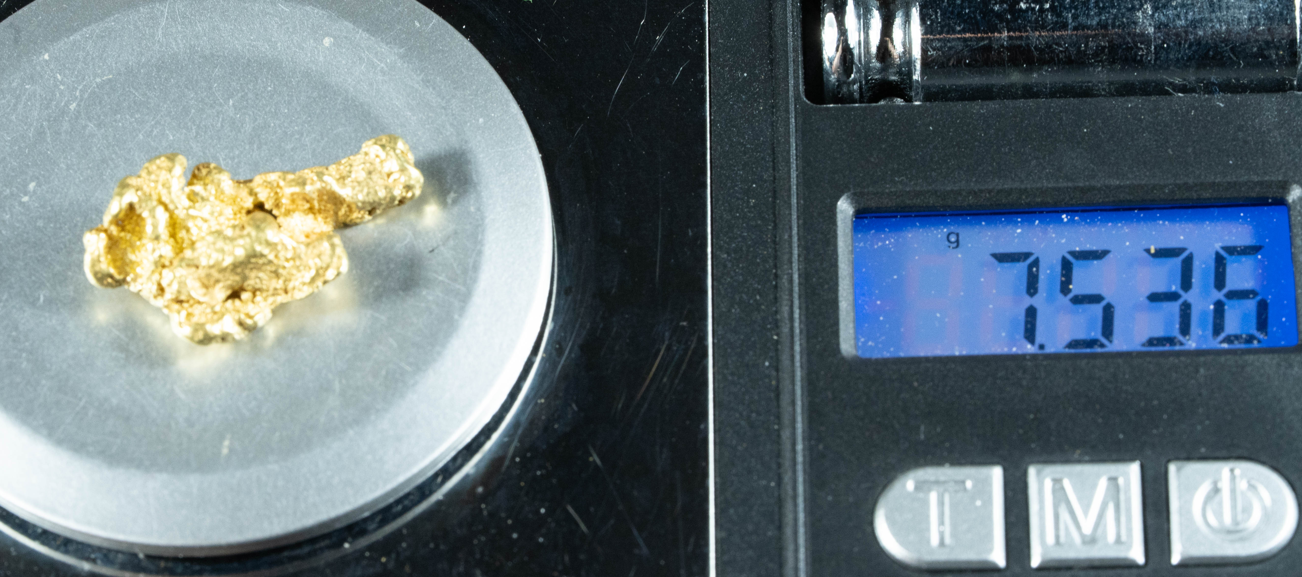 #493 Alaskan BC Natural Gold Nugget 7.53 Grams Genuine