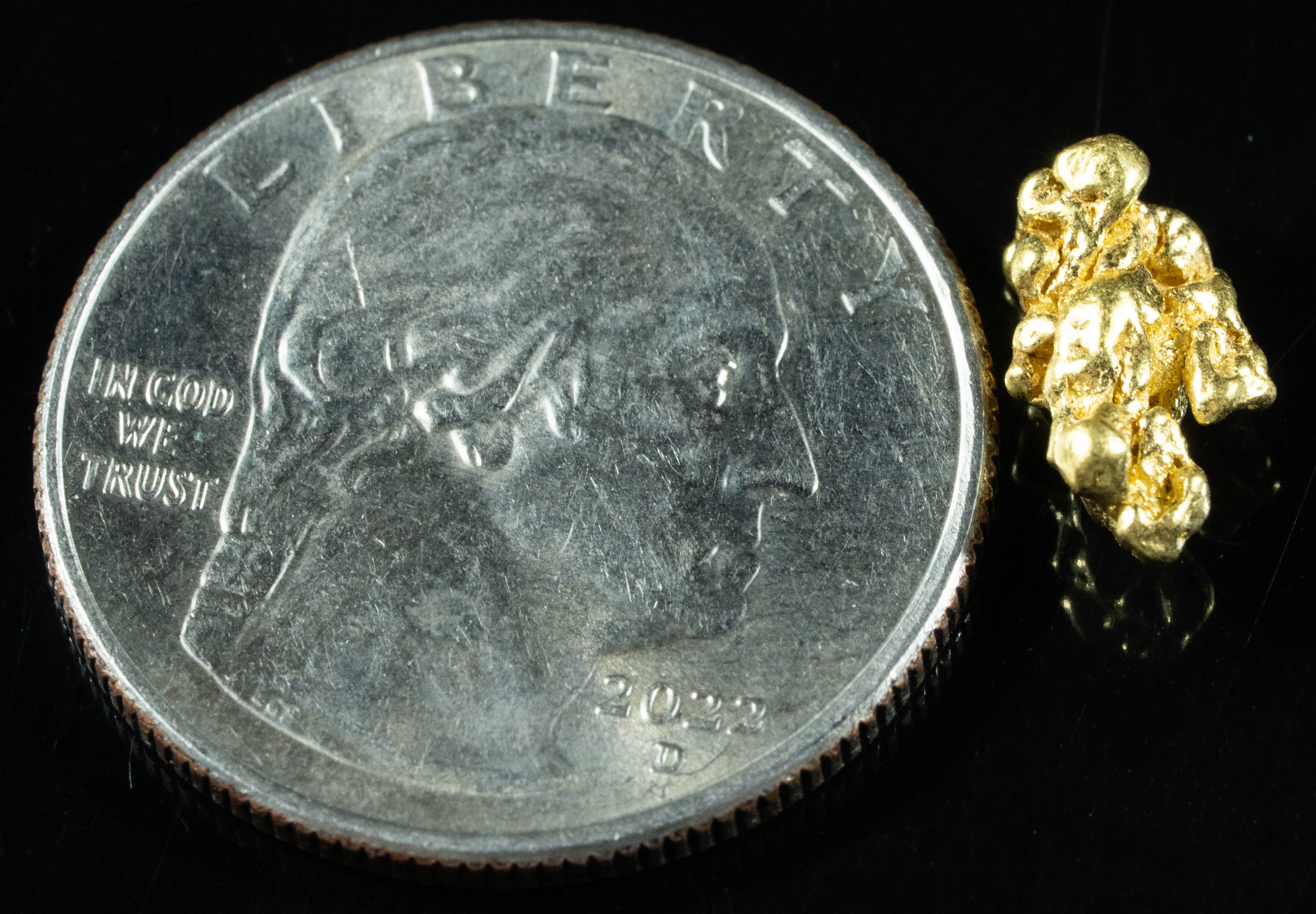 #1 Alaskan BC Natural Gold Nugget 1.47 Grams Genuine