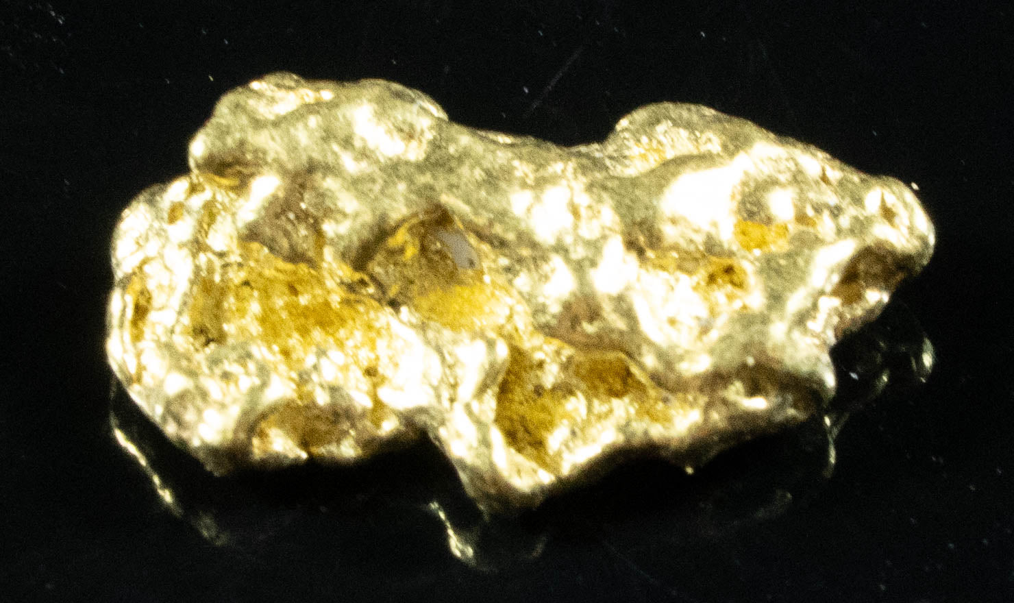 #51 Alaskan BC Natural Gold Nugget 1.68 Grams Genuine