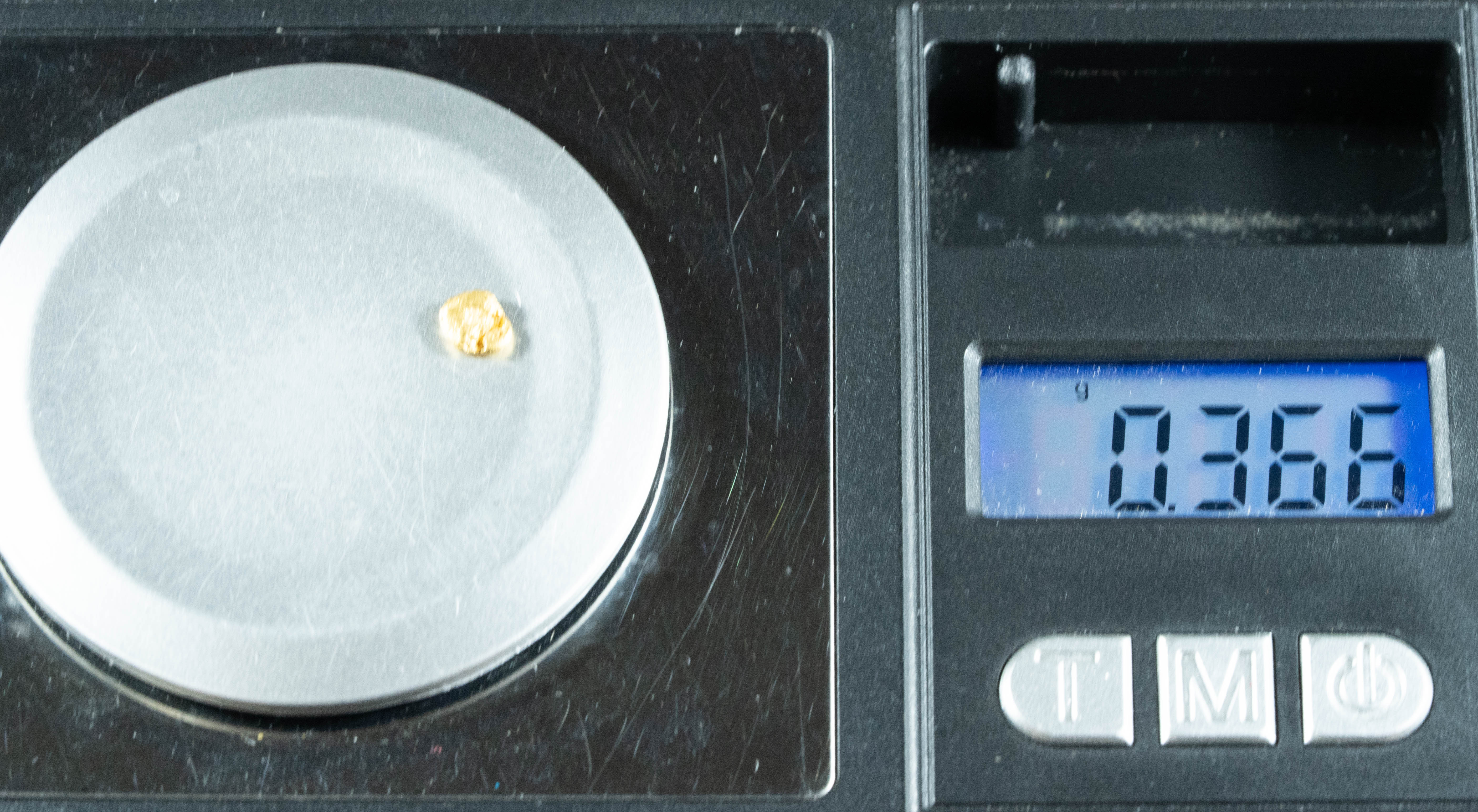 #796 Natural Gold Nugget Australian .36 Grams Genuine
