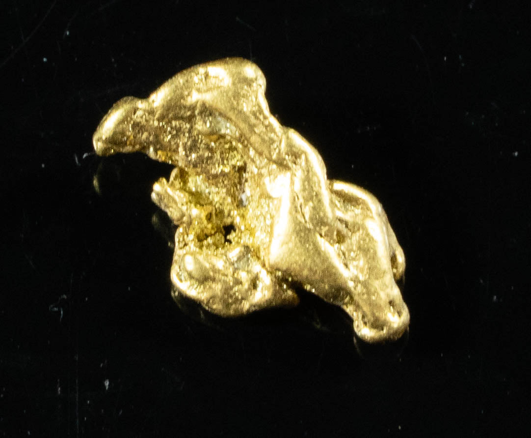 #21 Alaskan BC Natural Gold Nugget .46 Grams Genuine