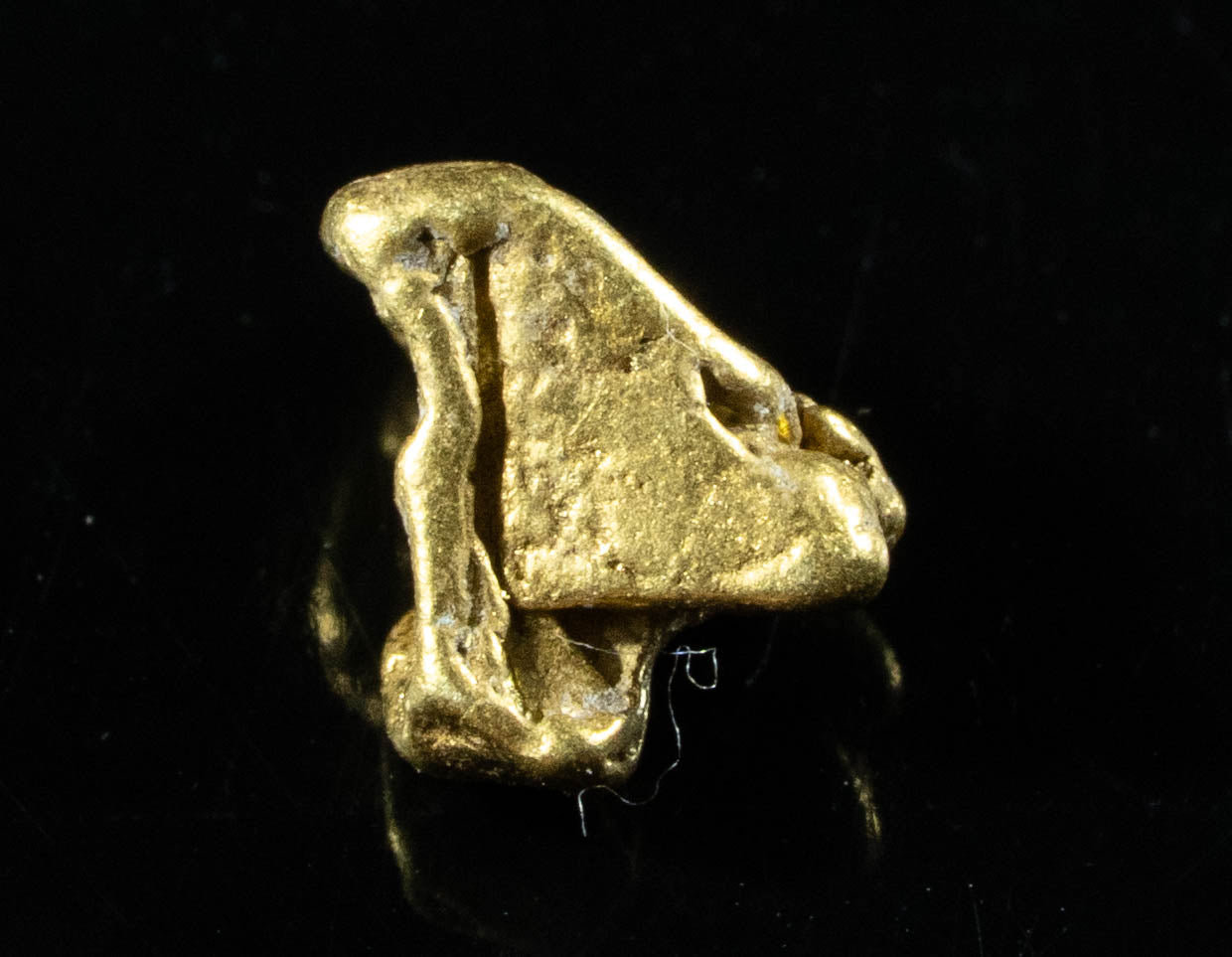 #38 Alaskan BC Natural Gold Nugget .52 Grams Genuine