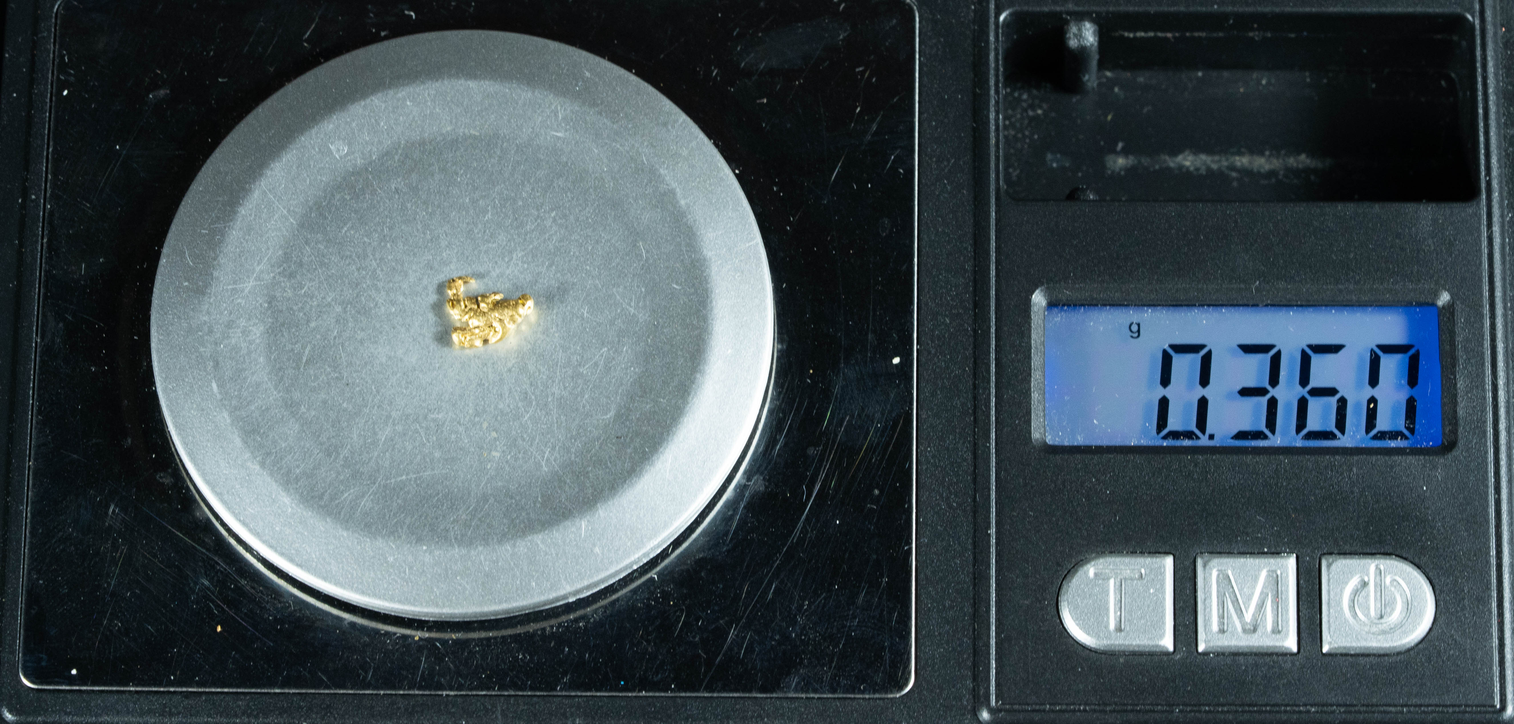 #110 Alaskan BC Natural Gold Nugget .36 Grams Genuine