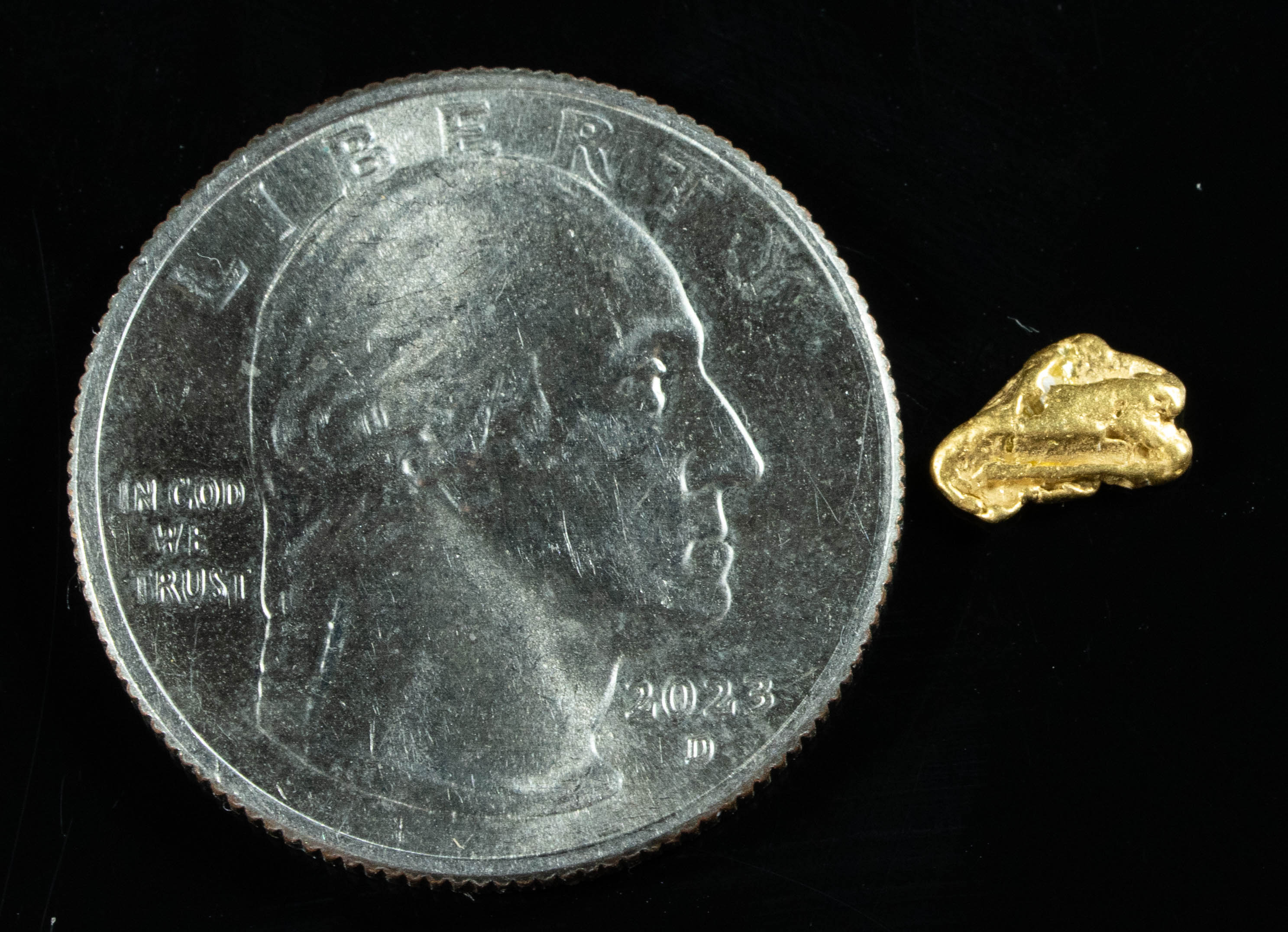 #131 Alaskan BC Natural Gold Nugget .33 Grams Genuine