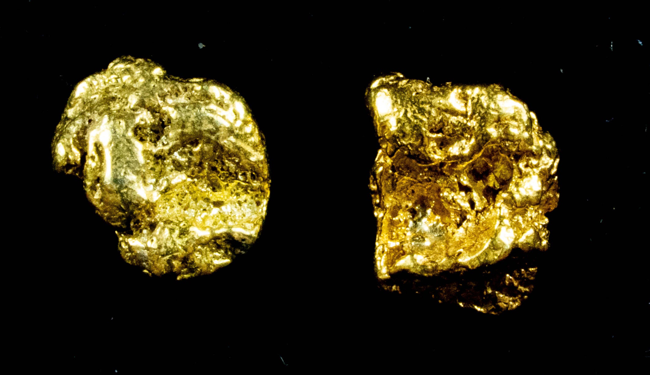 #567 Alaskan-Yukon BC Natural Gold Nugget Earrings 2.11 Grams