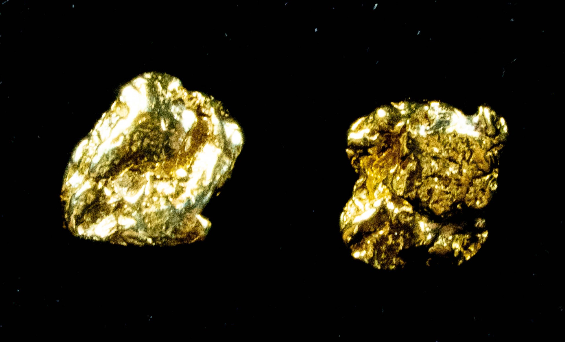 #579 Alaskan-Yukon BC Natural Gold Nugget Earrings 1.36 Grams