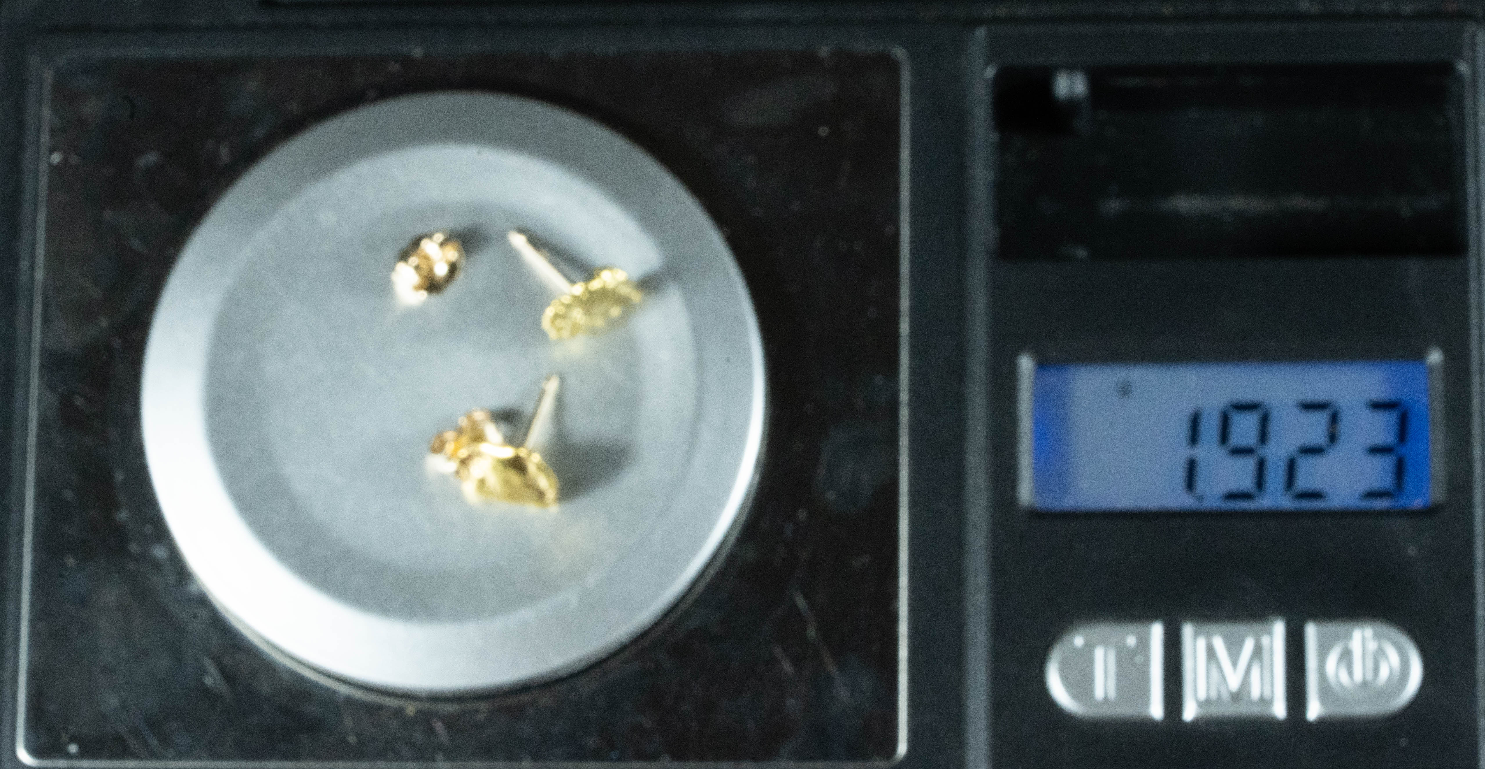 #583 Alaskan-Yukon BC Natural Gold Nugget Earrings 1.92 Grams