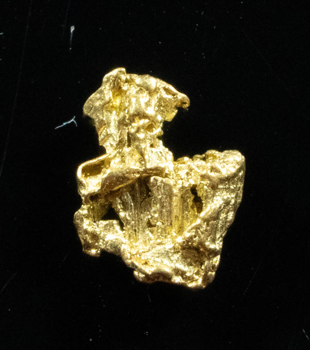 #124 Alaskan BC Natural Gold Nugget .36 Grams Genuine