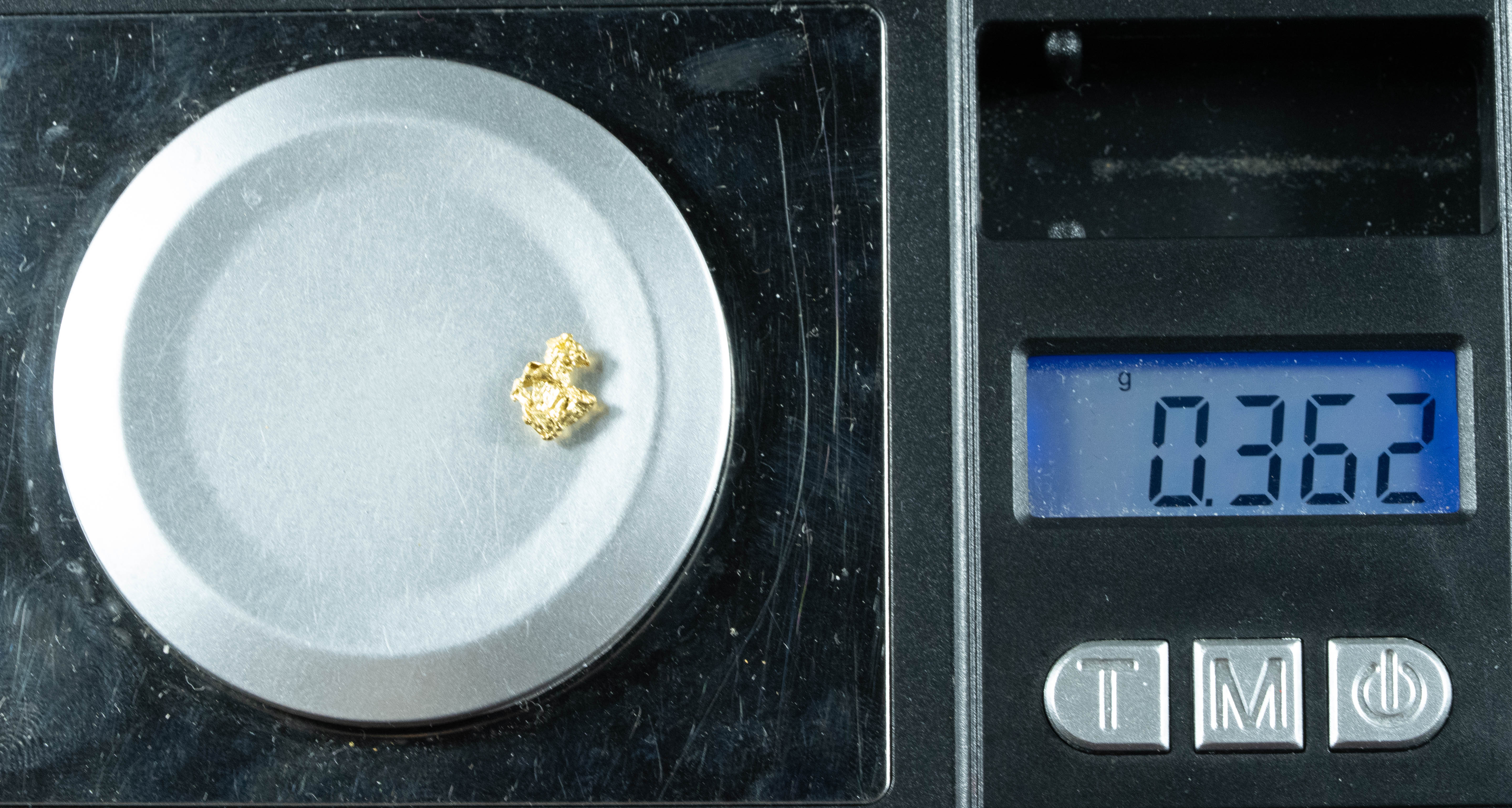 #124 Alaskan BC Natural Gold Nugget .36 Grams Genuine