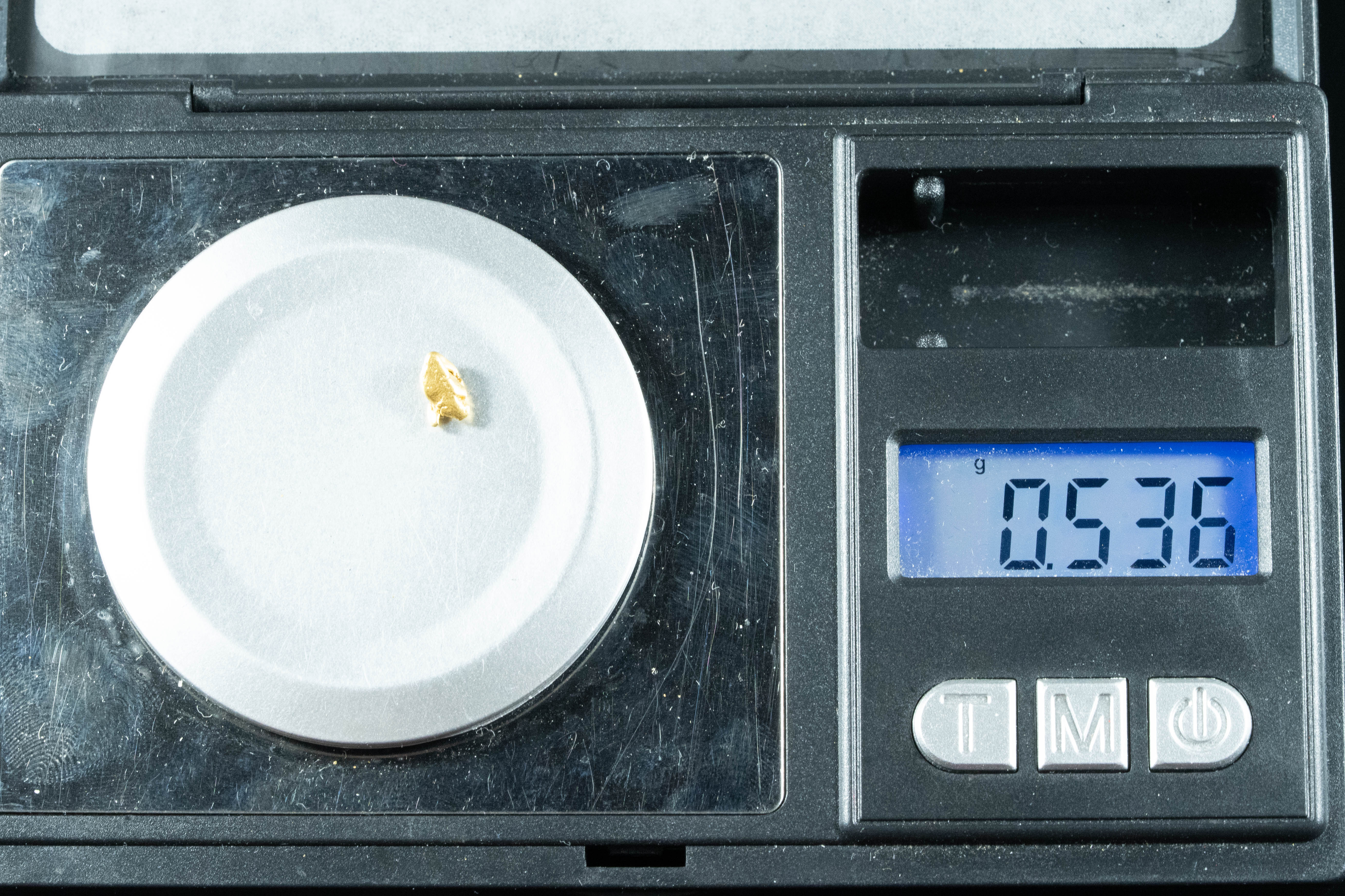 #126 Alaskan BC Natural Gold Nugget .53 Grams Genuine