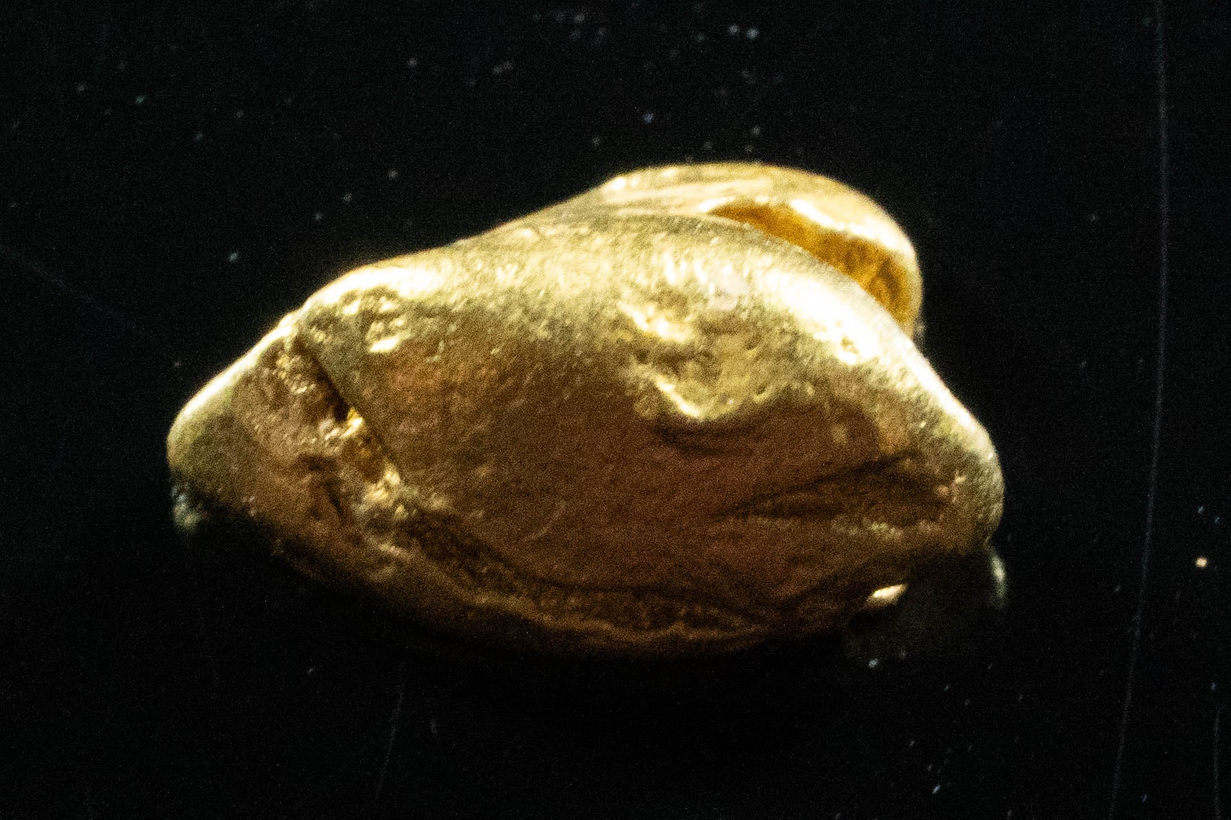 #145 Alaskan BC Natural Gold Nugget 1.09 Grams Genuine