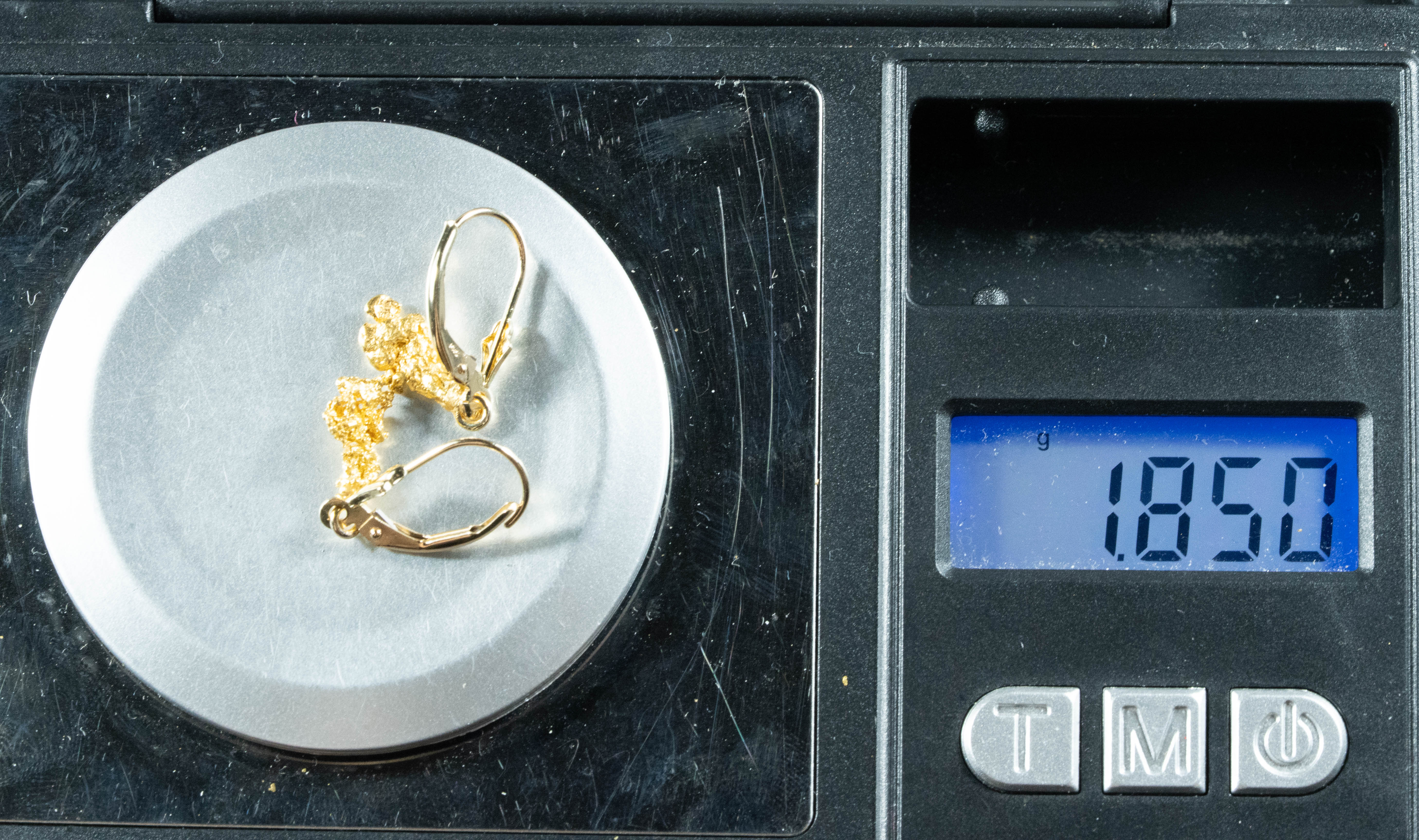 #687 Alaskan-Yukon BC Natural Gold Nugget Earrings 1.85 Grams
