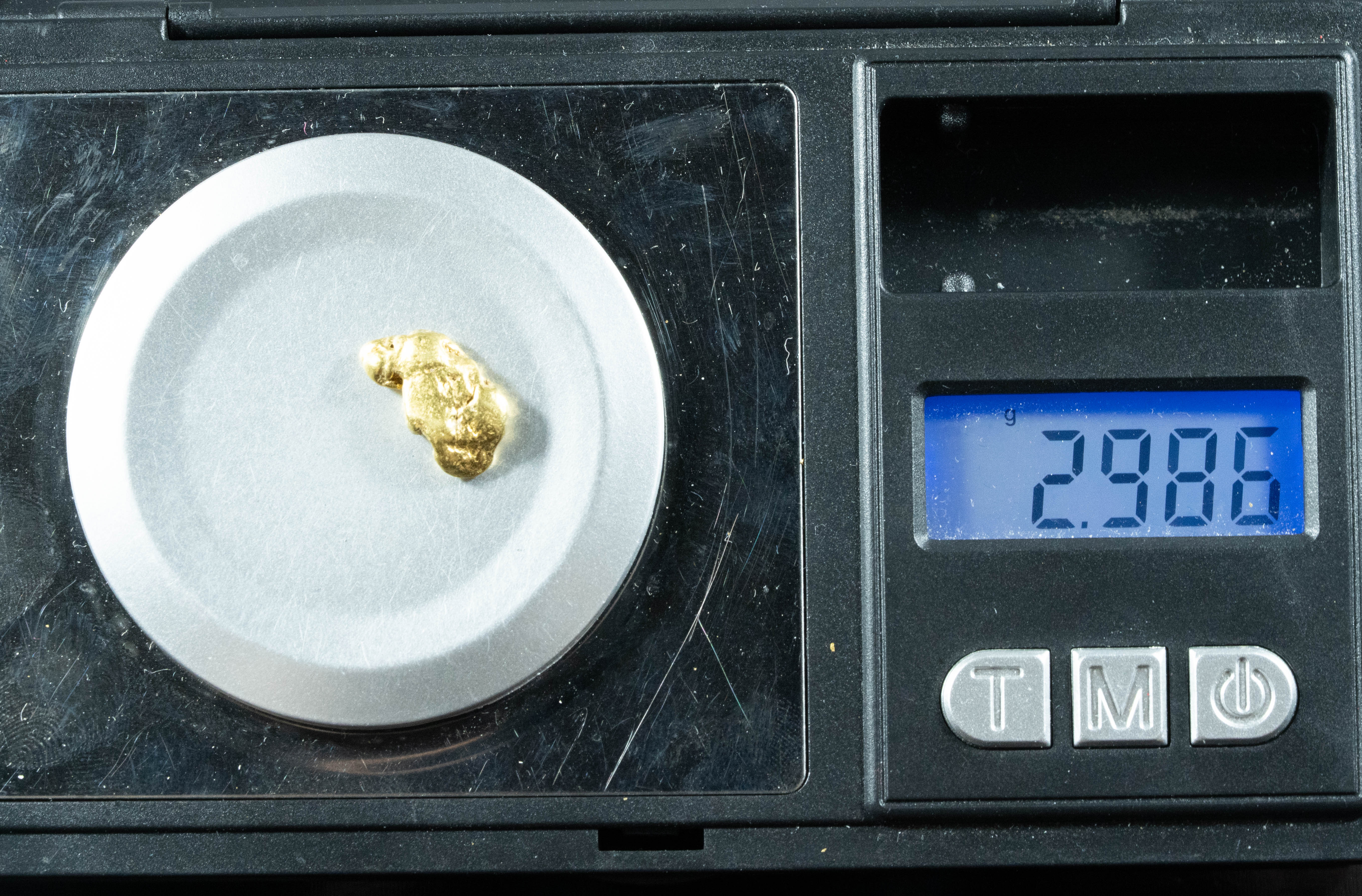 #322 Alaskan BC Natural Gold Nugget 2.98 Grams Genuine