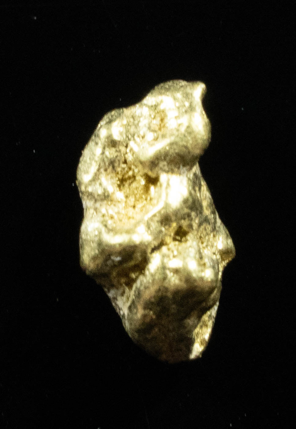 #24 Alaskan BC Natural Gold Nugget .77 Grams Genuine