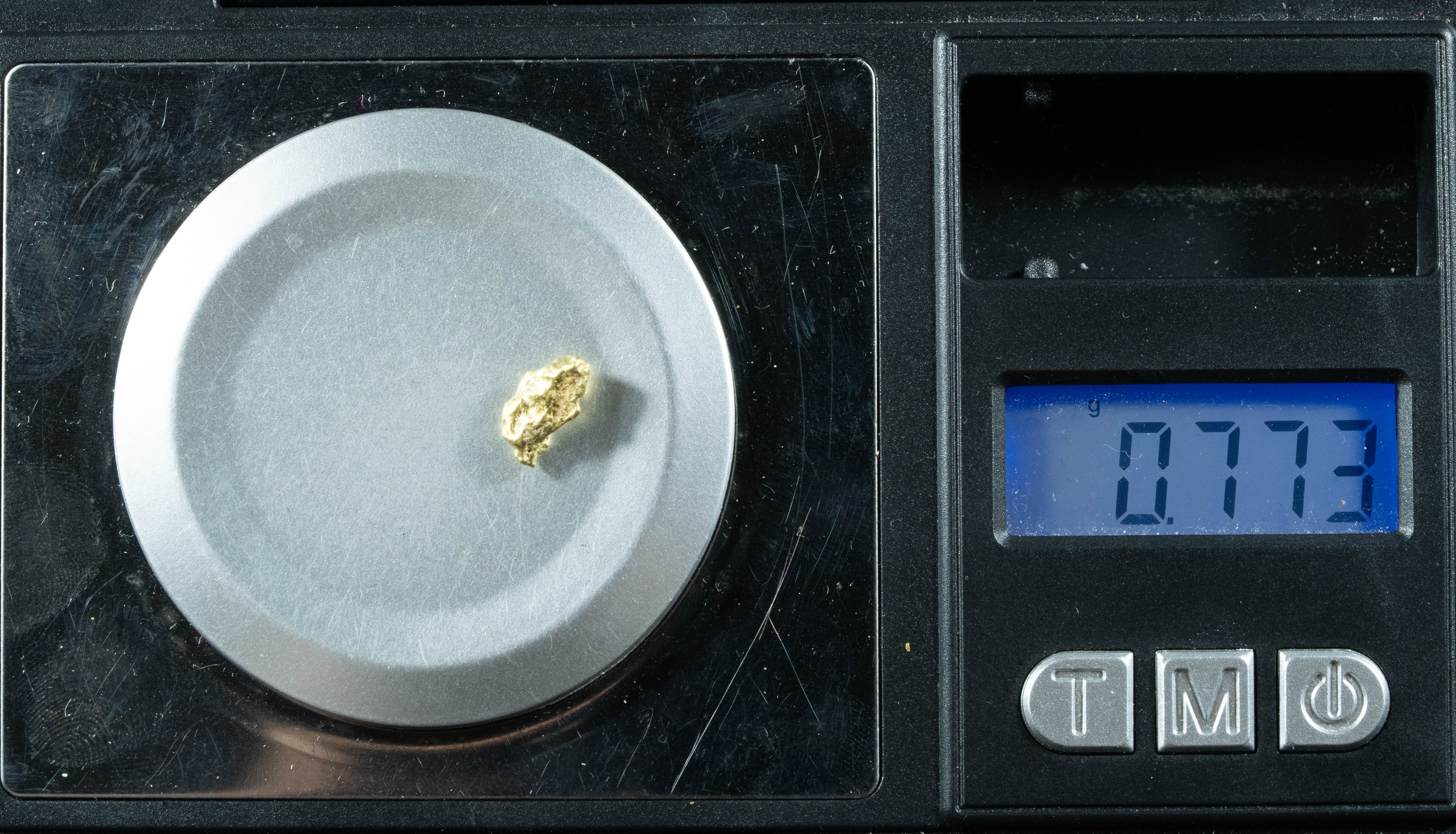 #24 Alaskan BC Natural Gold Nugget .77 Grams Genuine