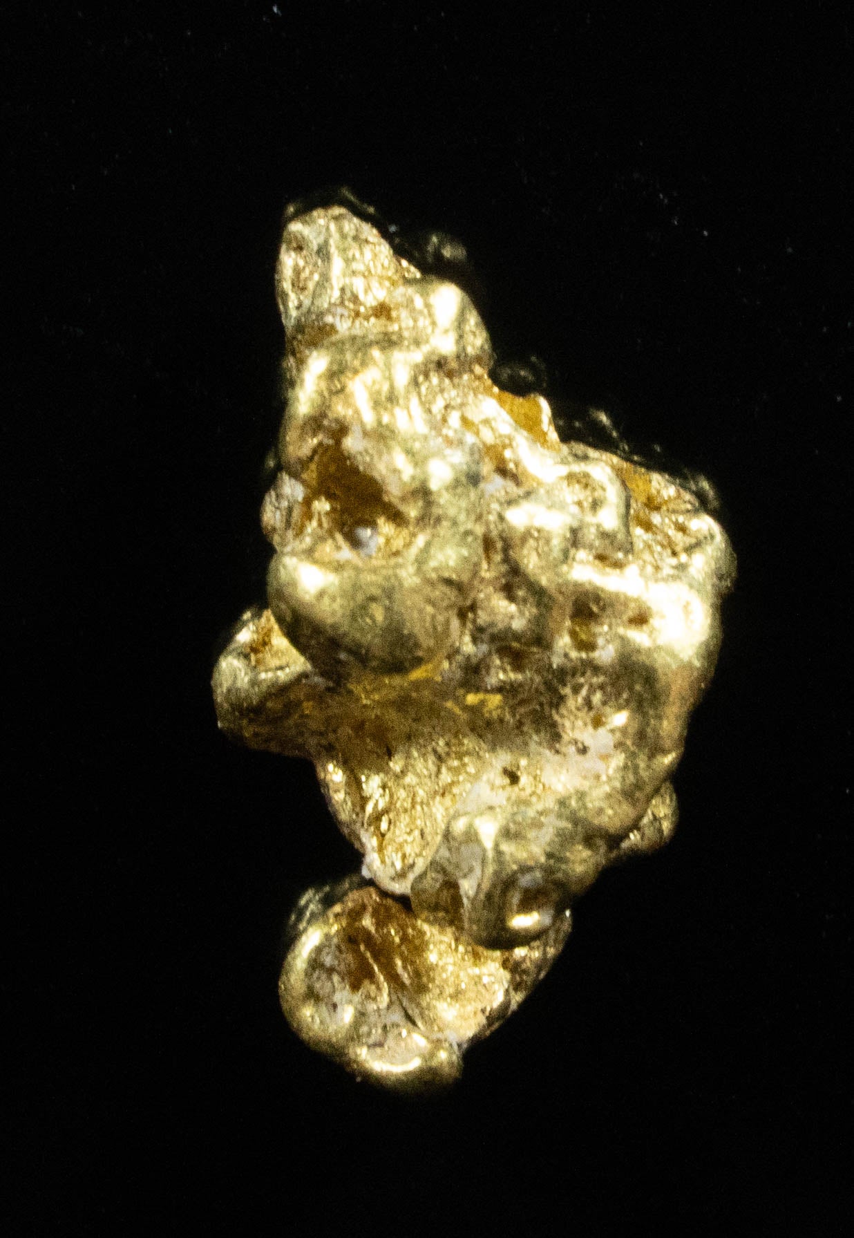 #85 Alaskan BC Natural Gold Nugget 1.71 Grams Genuine