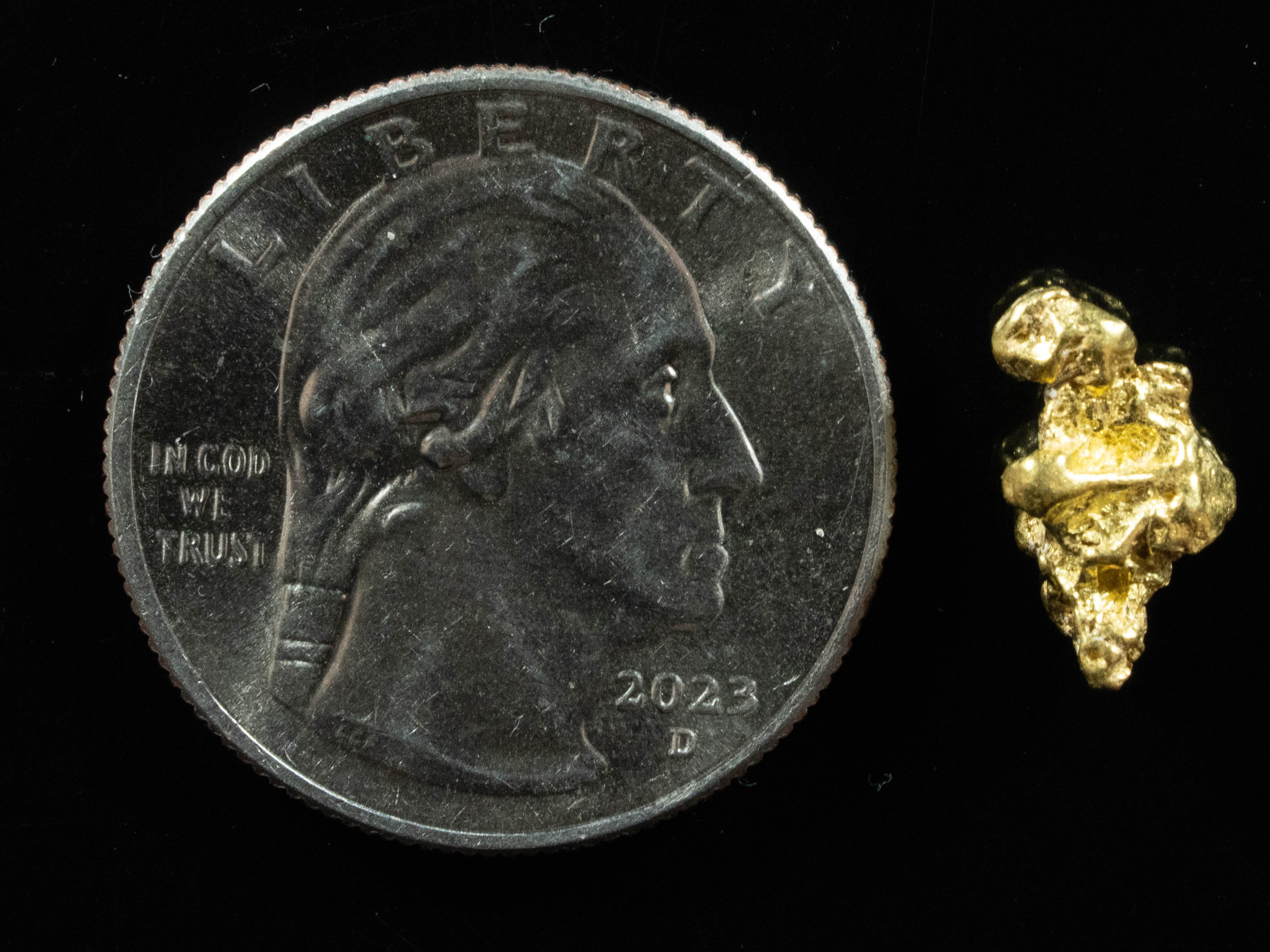 #85 Alaskan BC Natural Gold Nugget 1.71 Grams Genuine