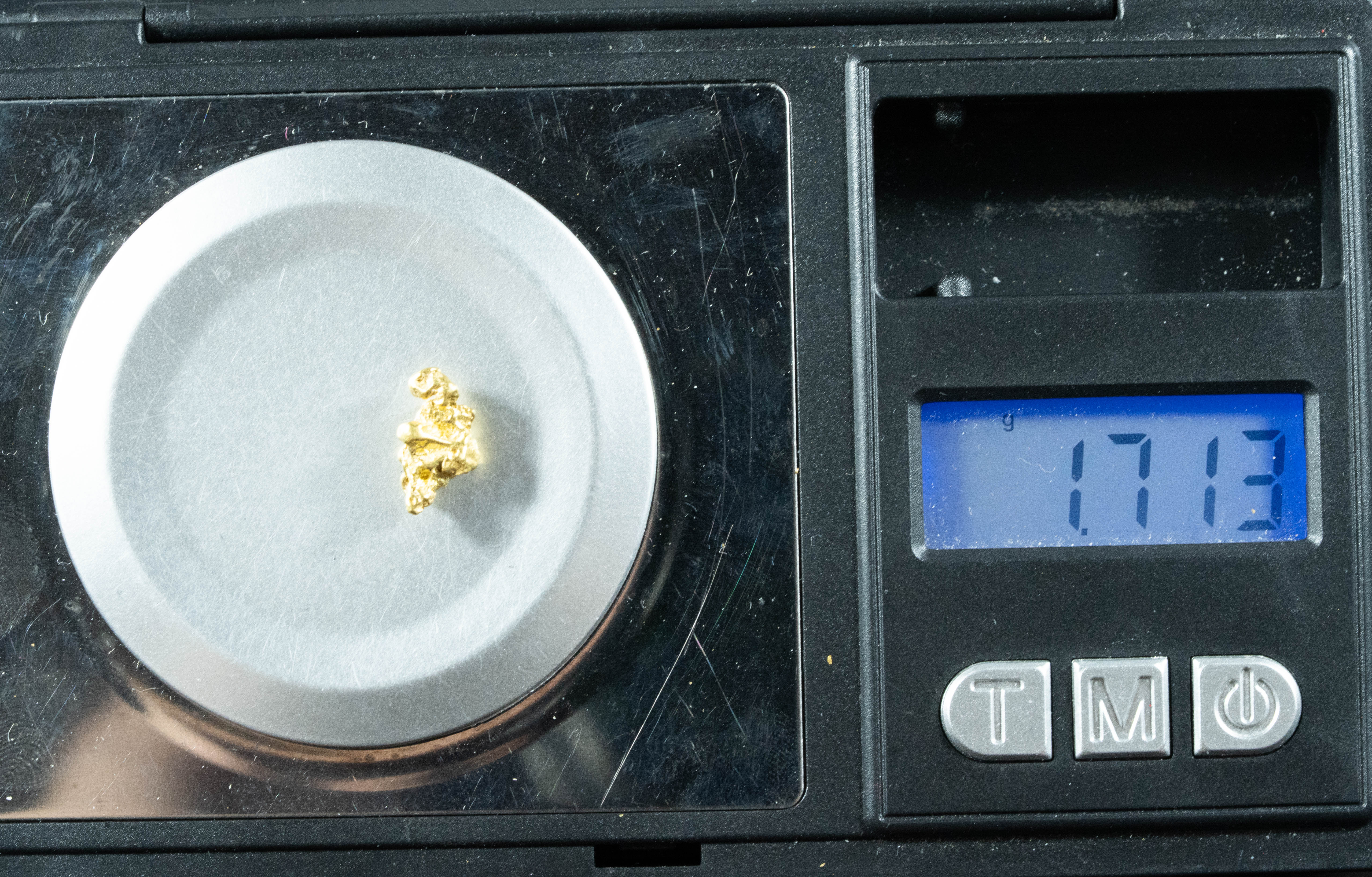 #85 Alaskan BC Natural Gold Nugget 1.71 Grams Genuine