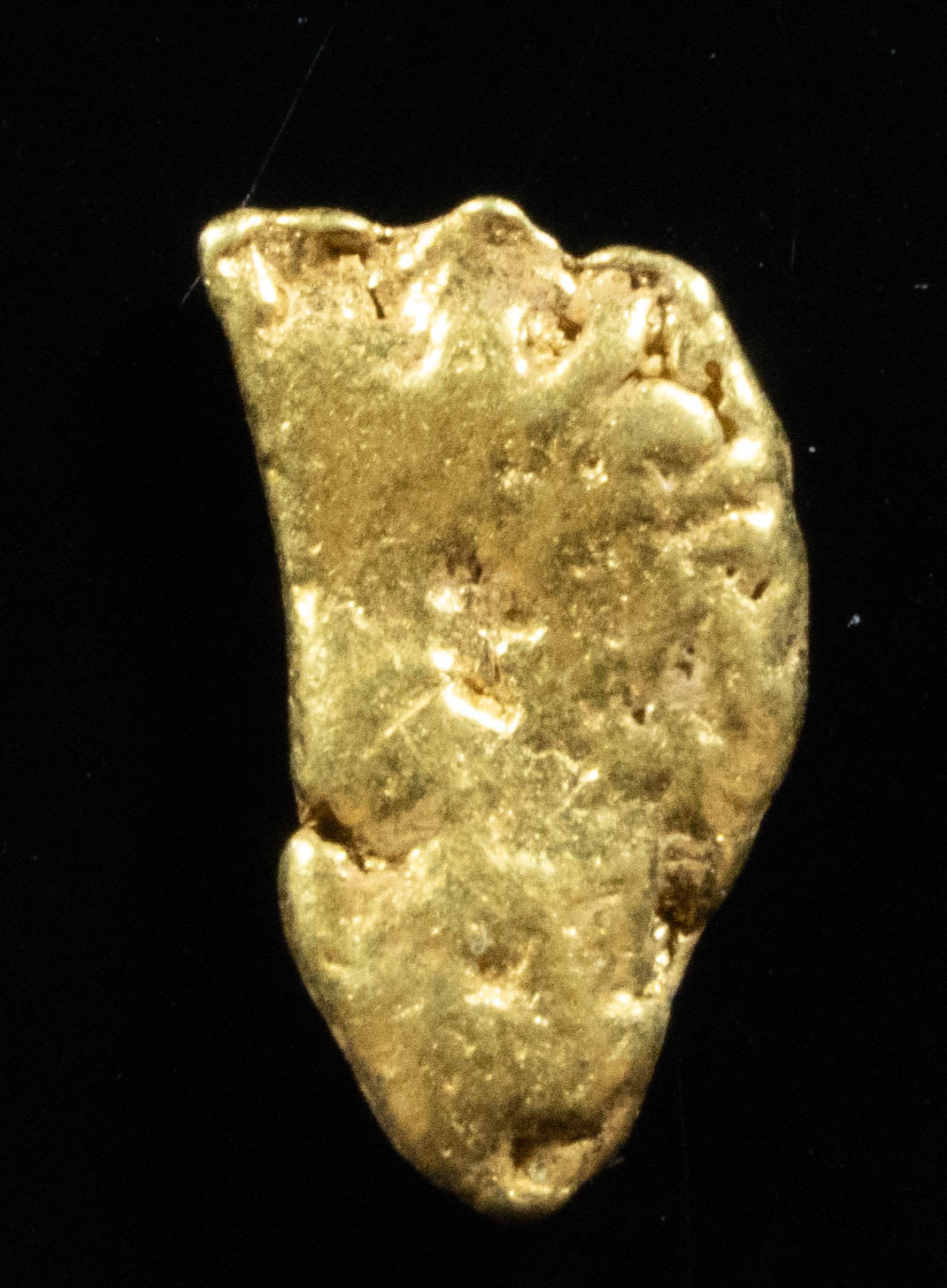 #109 Alaskan BC Natural Gold Nugget 1.43 Grams Genuine