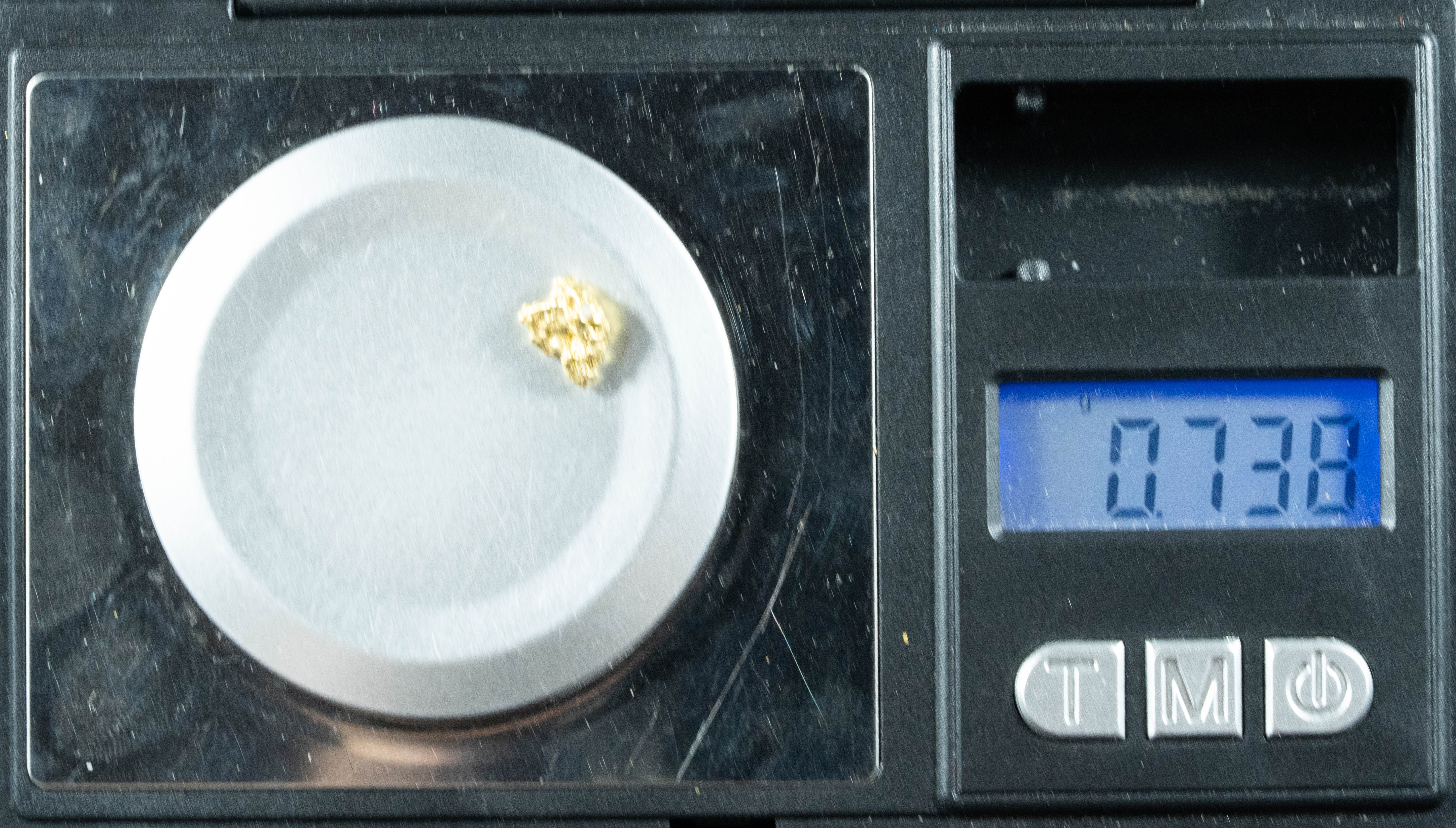 #110 Alaskan BC Natural Gold Nugget .73 Grams Genuine