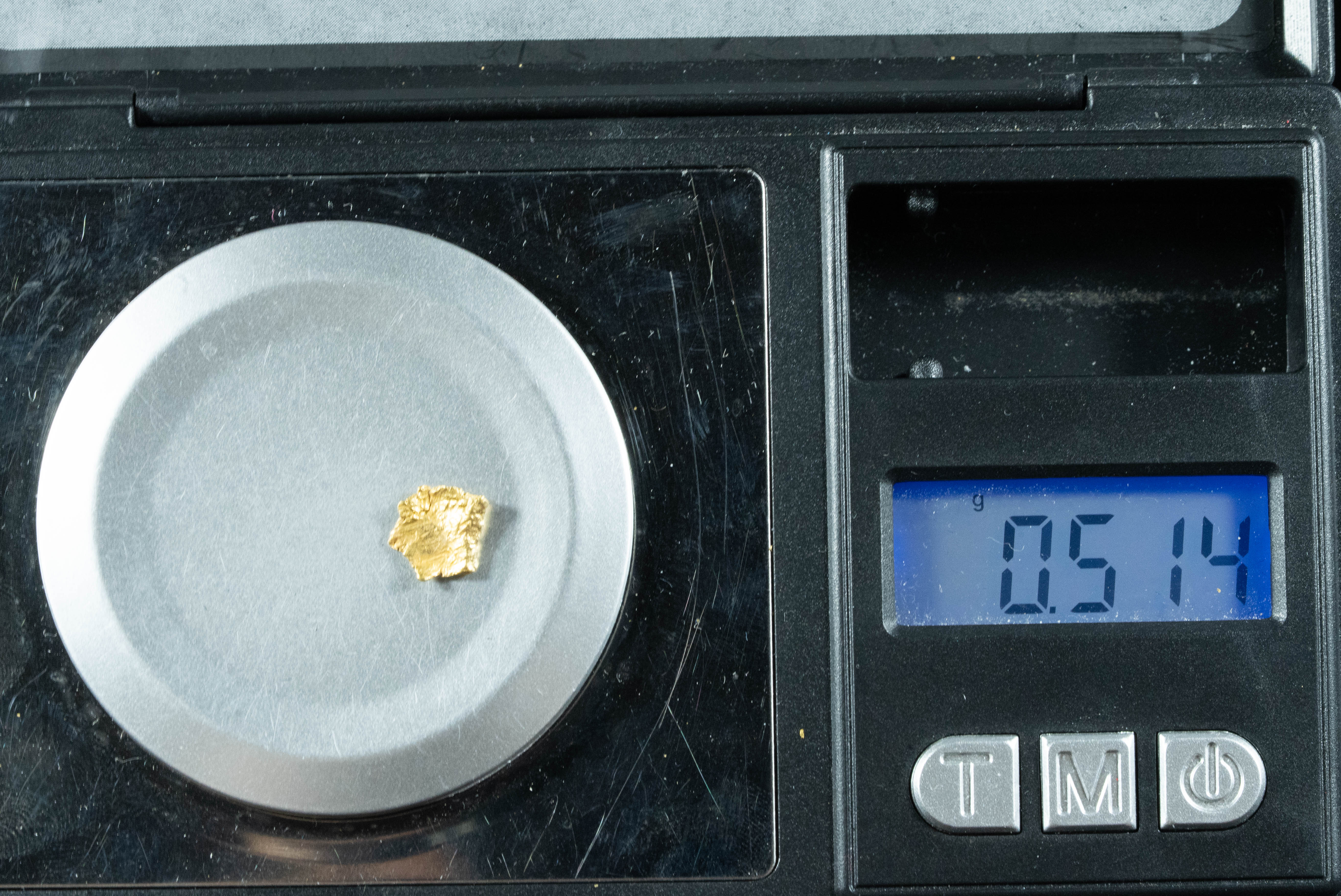 #166 Alaskan BC Natural Gold Nugget .51 Grams Genuine