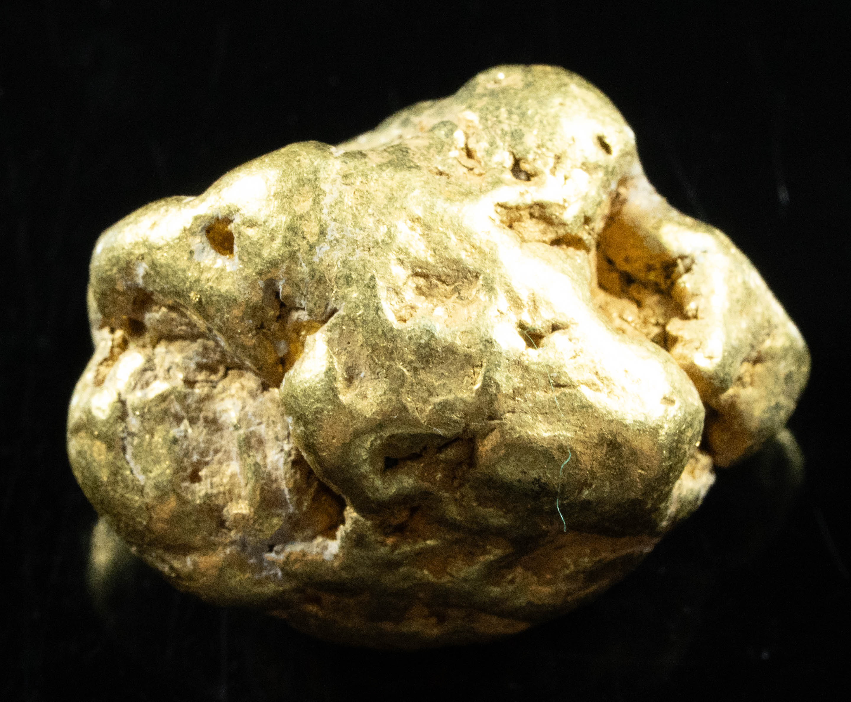 #556 Large Alaskan BC Gold Nugget 43.26 Grams Genuine