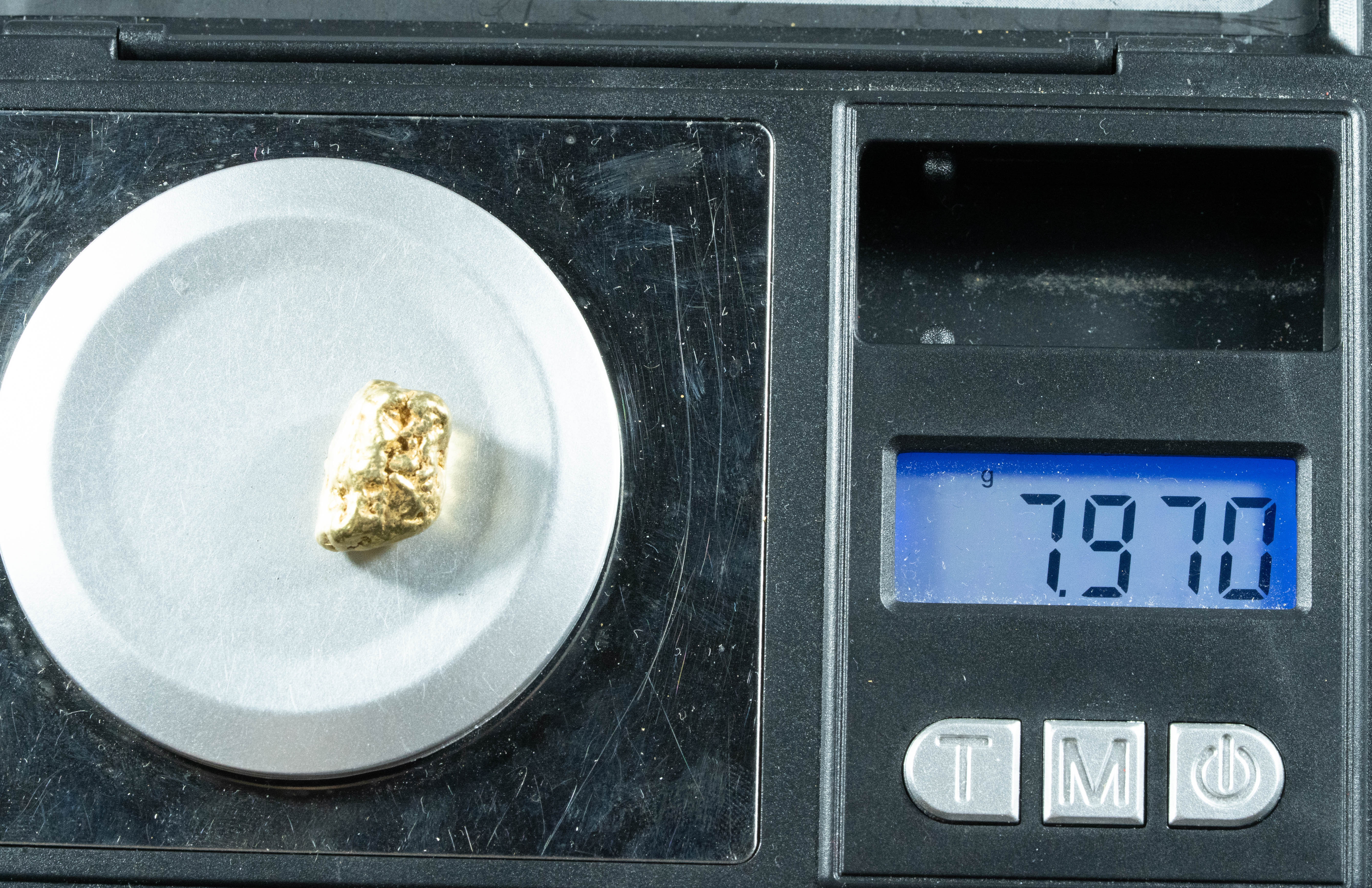 #426 Alaskan BC Natural Gold Nugget 7.97 Grams Genuine