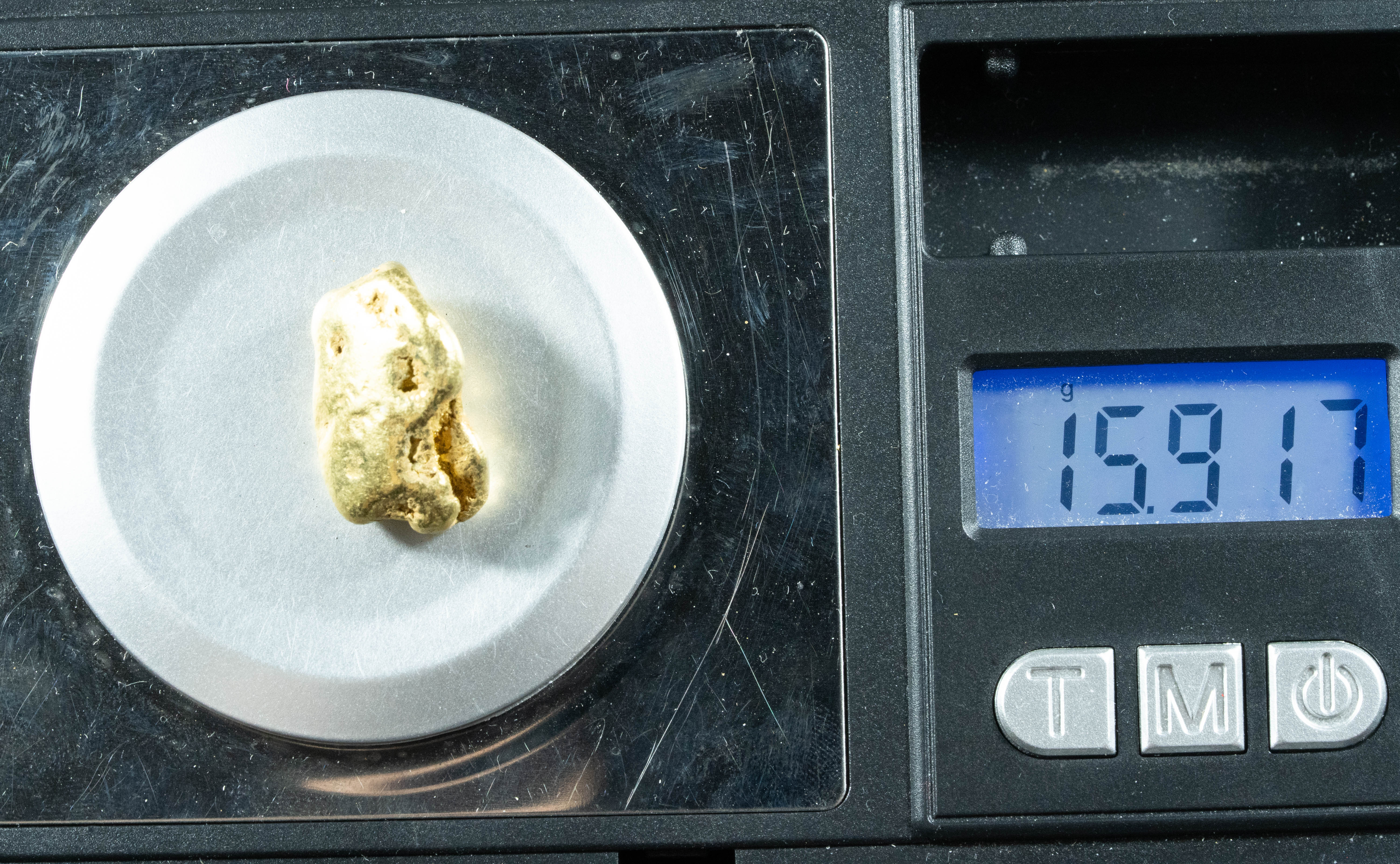 #482 Alaskan BC Natural Gold Nugget 15.91 Grams Genuine