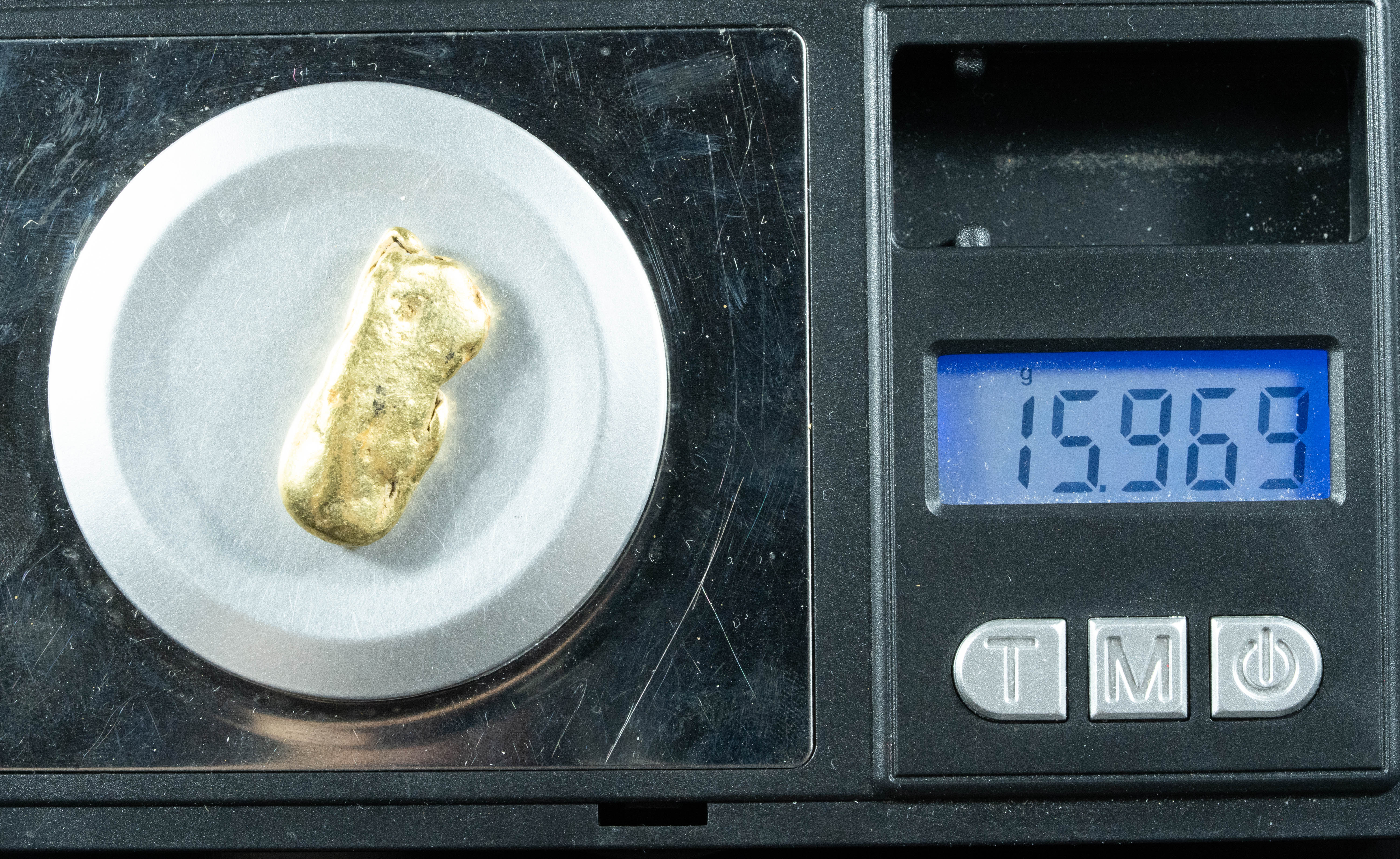 #488 Alaskan BC Natural Gold Nugget 15.96 Grams Genuine