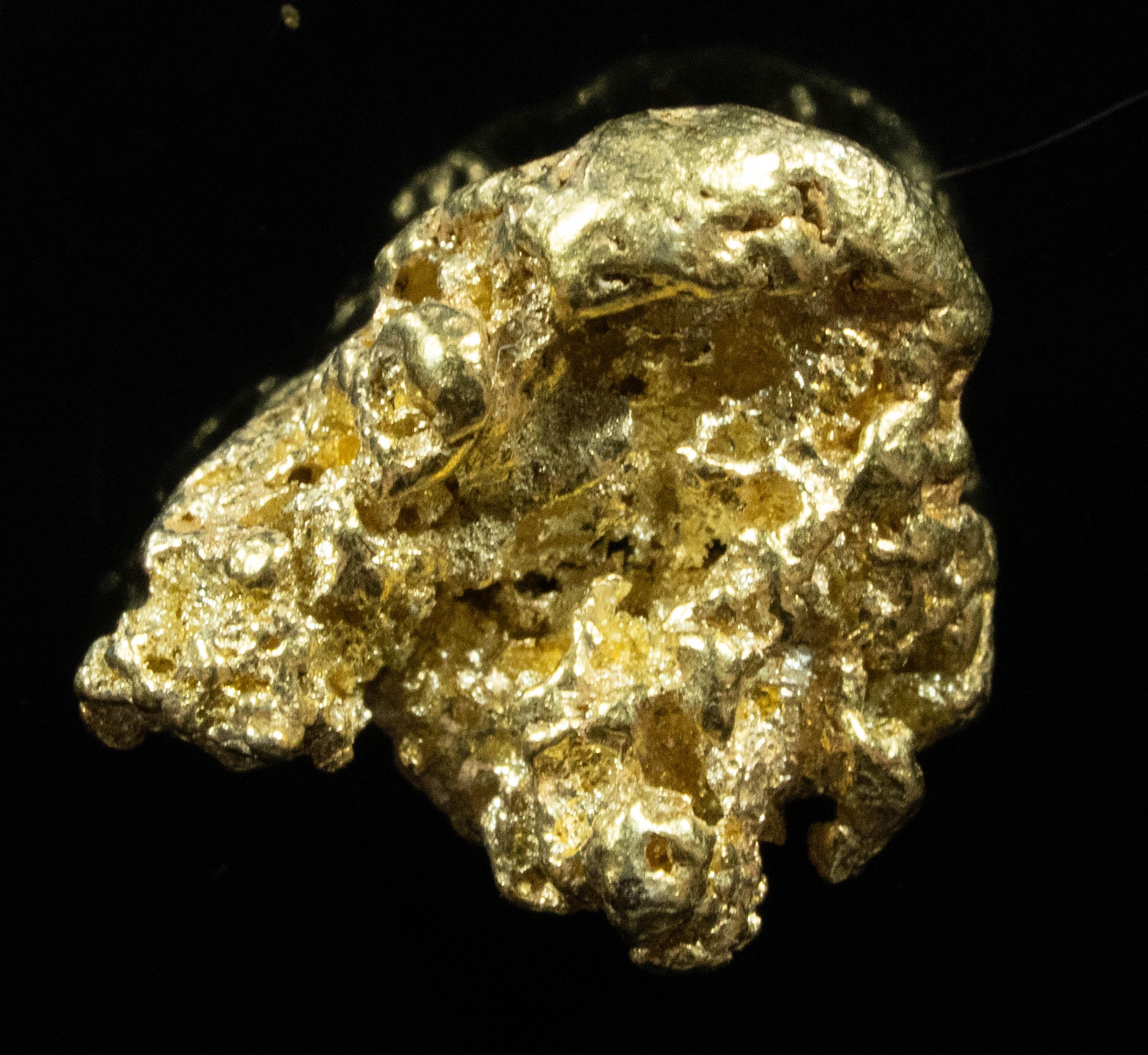 #498 Alaskan BC Natural Gold Nugget 5.33 Grams Genuine
