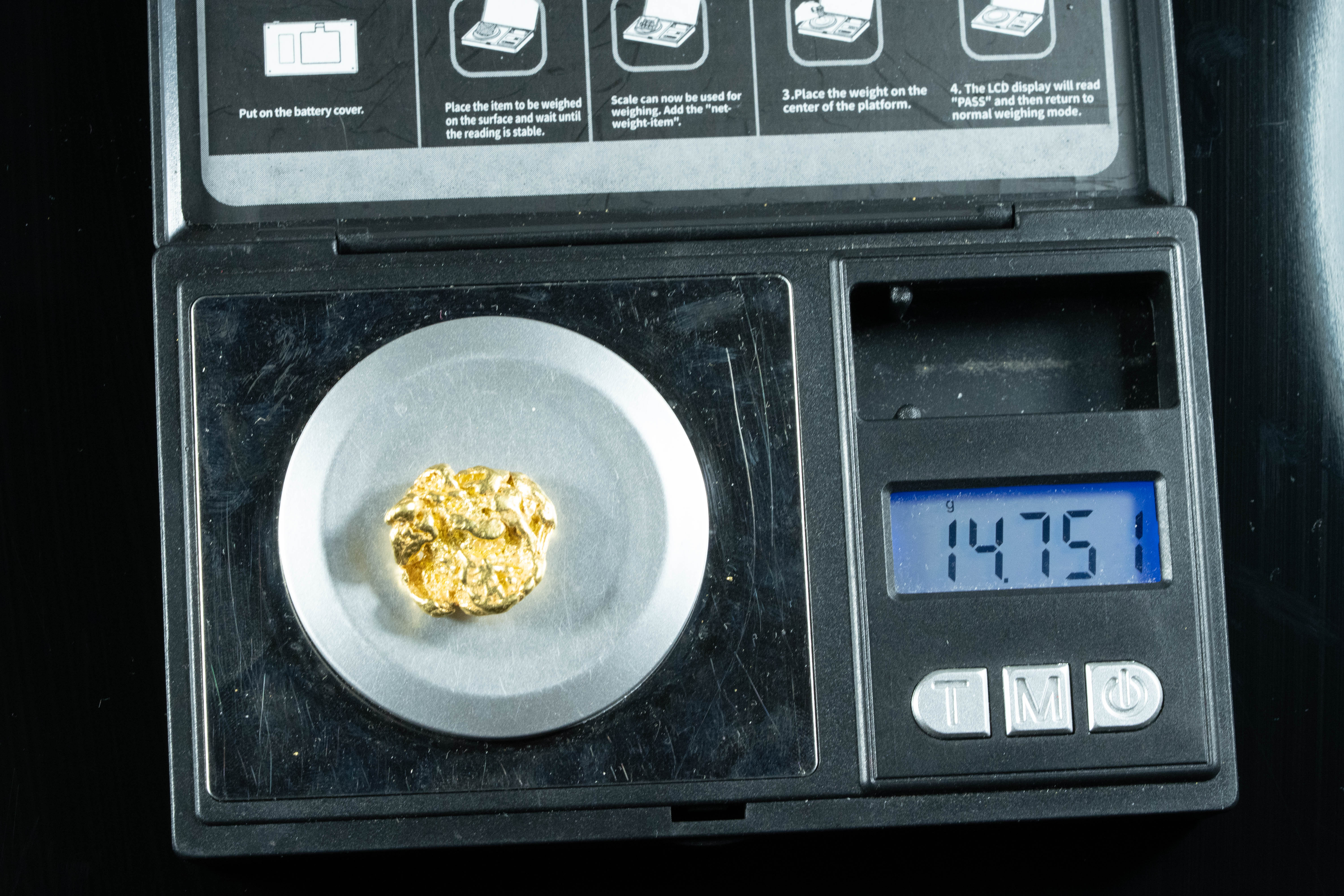 #383 Alaskan BC Natural Gold Nugget 14.75 Grams Genuine