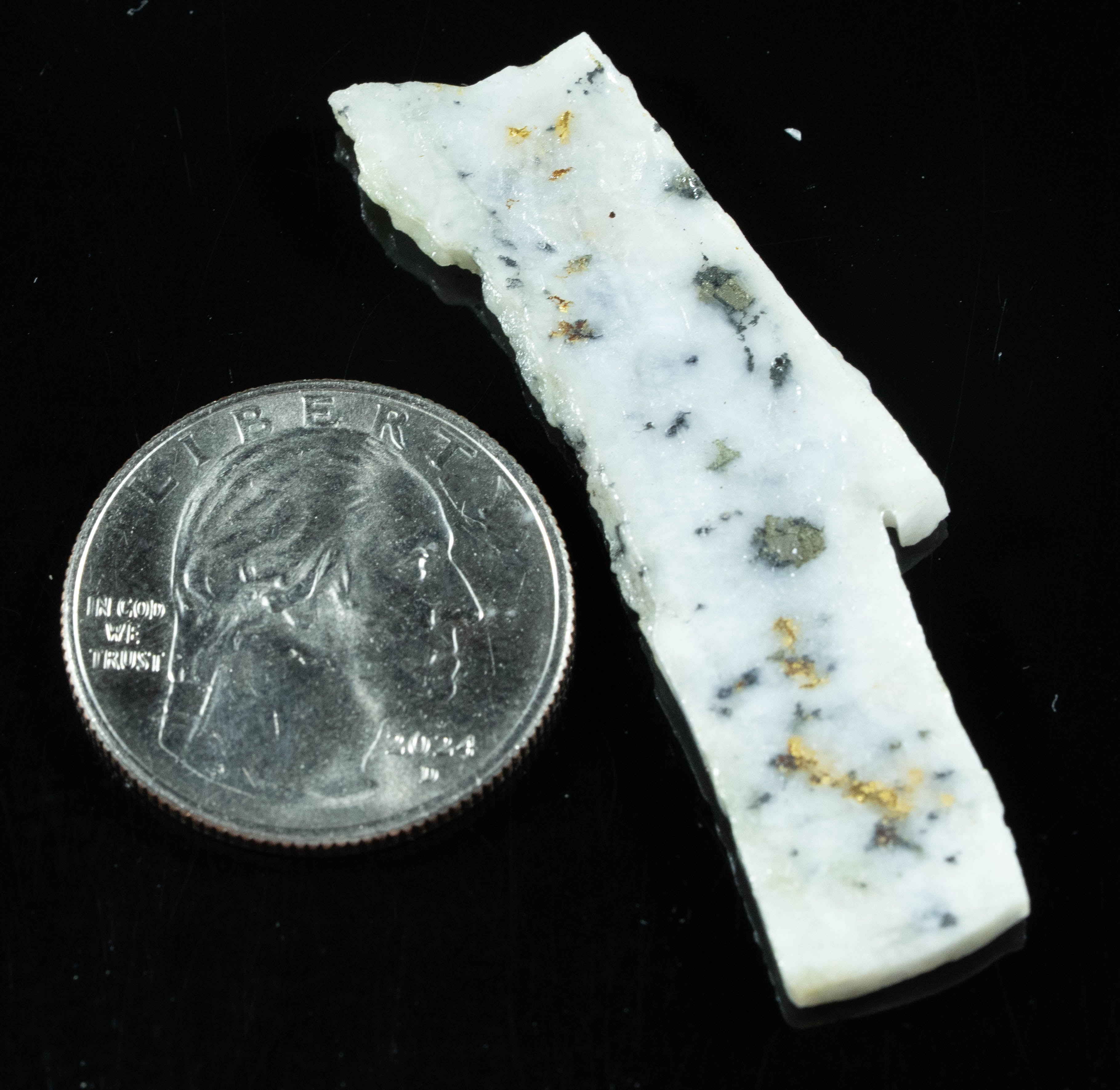 GQ-2 Gold Bearing Quartz Slab California 4.55 grams Genuine