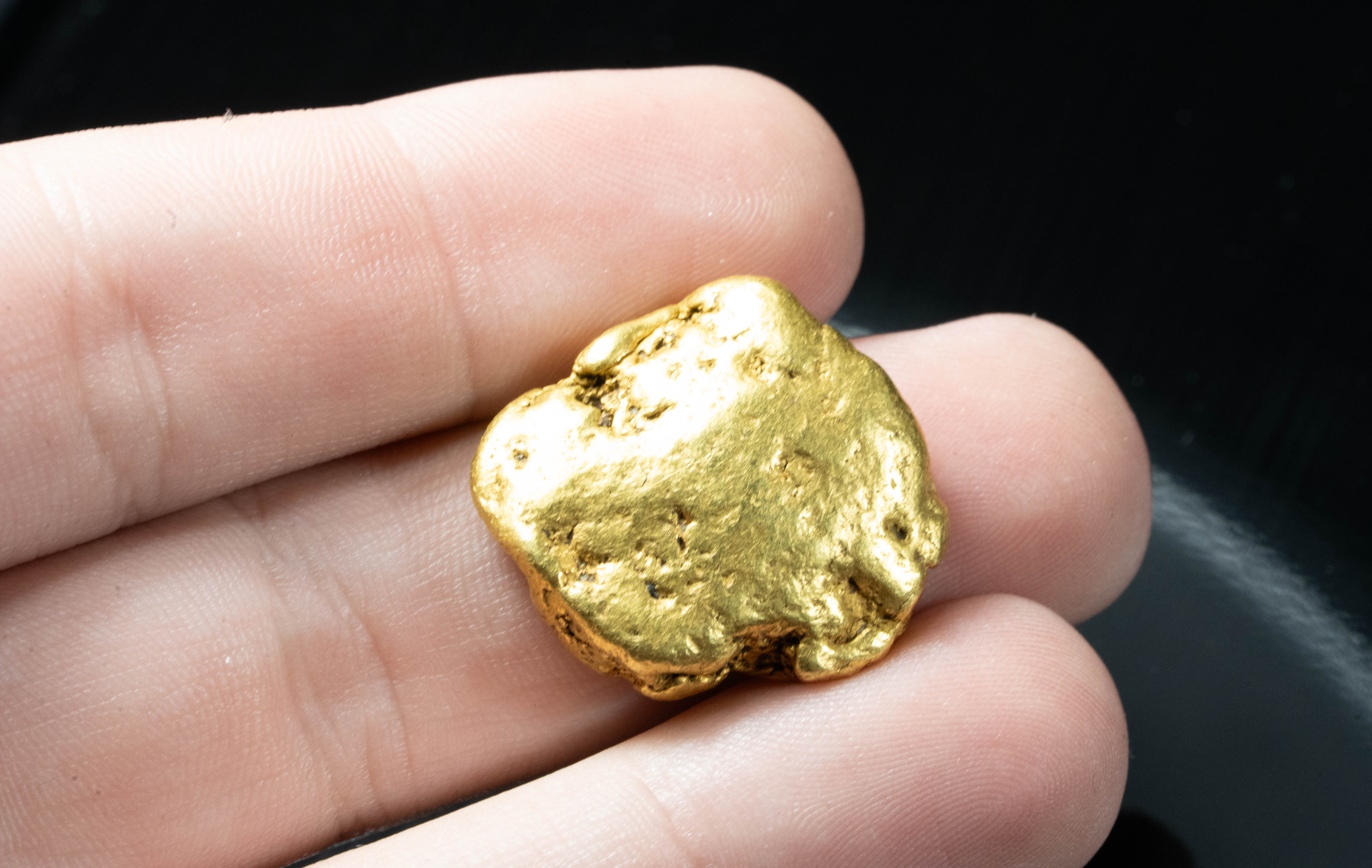 #542 Large Alaskan BC Gold Nugget 24.89 Grams Genuine