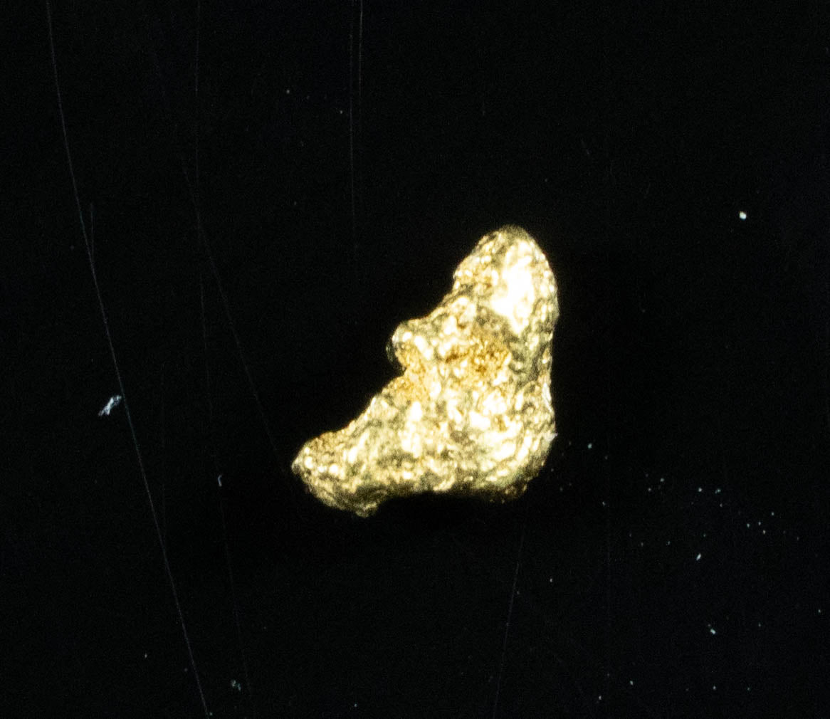 Alaskan-Yukon BC Gold Rush Natural Gold Nugget 0.07 Grams Genuine