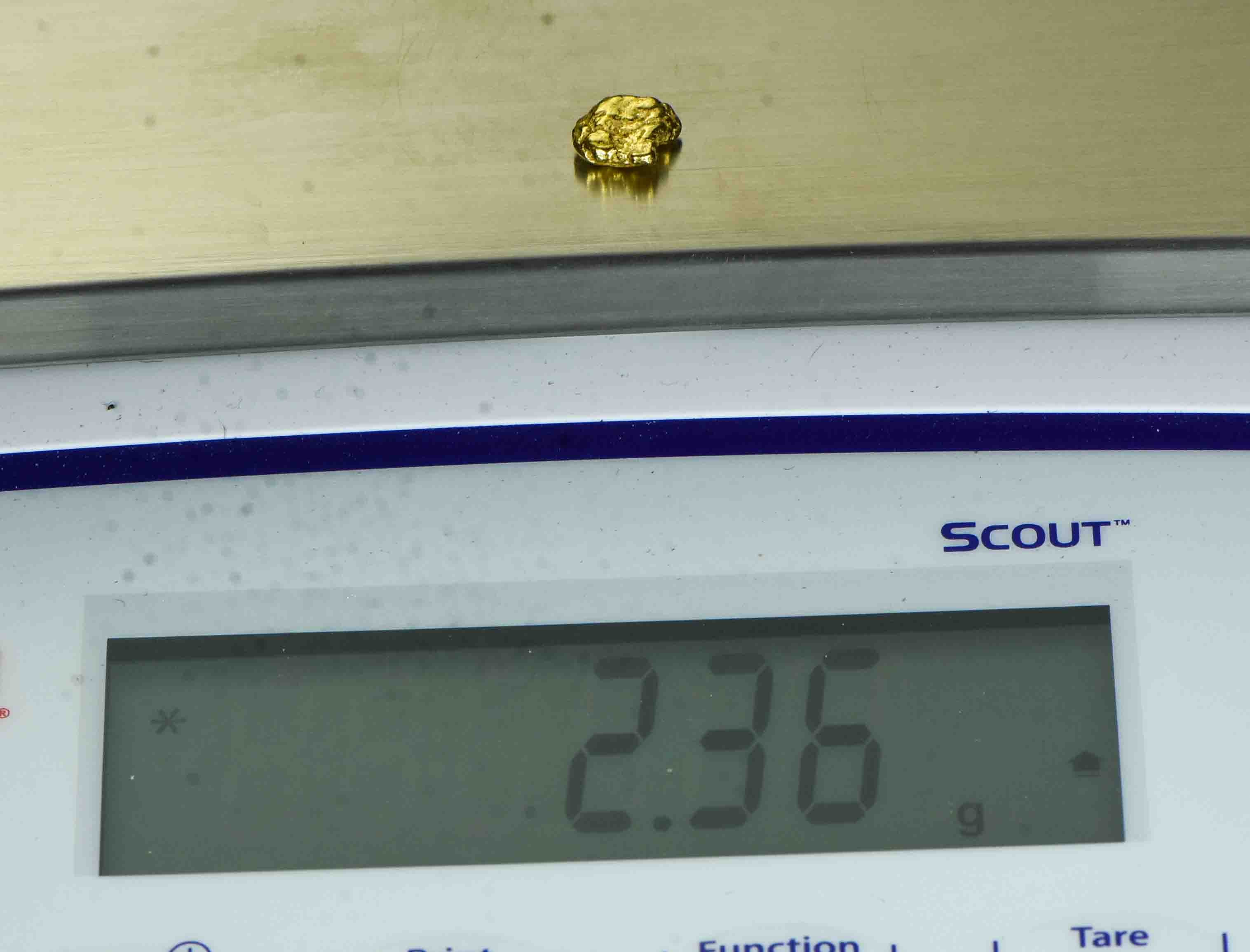 #339 Alaskan BC Natural Gold Nugget 2.36  Grams Genuine